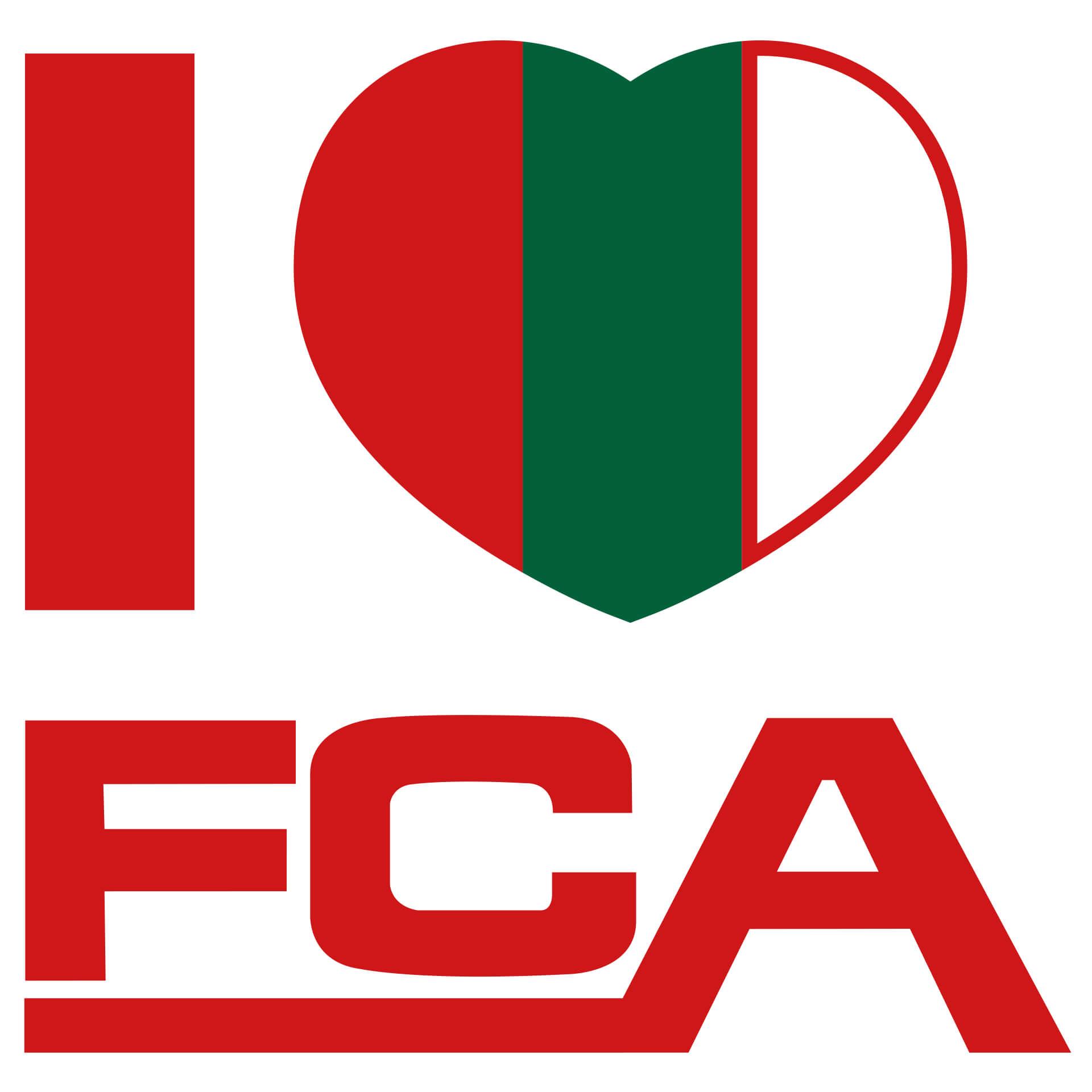 Wandtattoo I love FCA