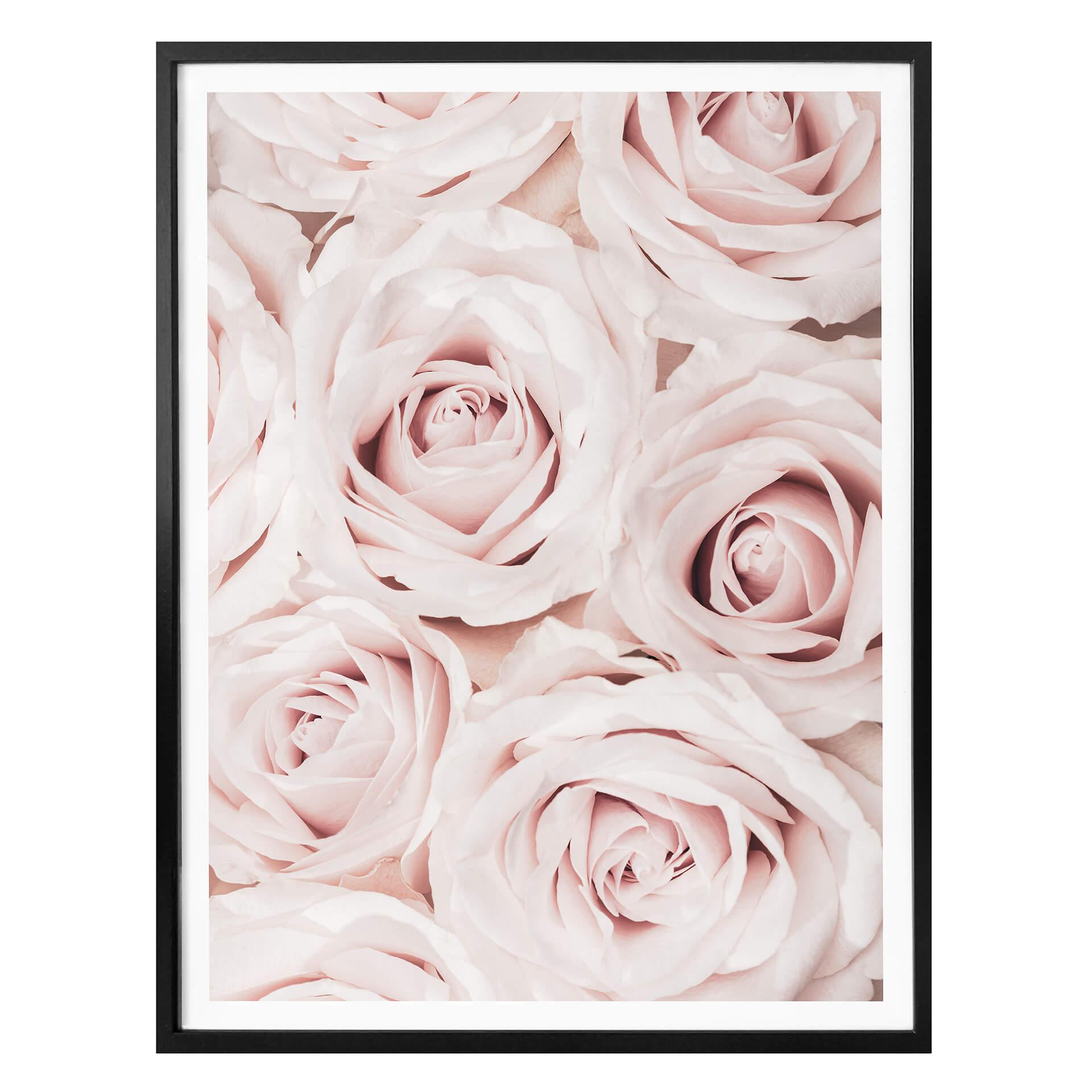Plakat - 1X Studio - Rose Bouquet