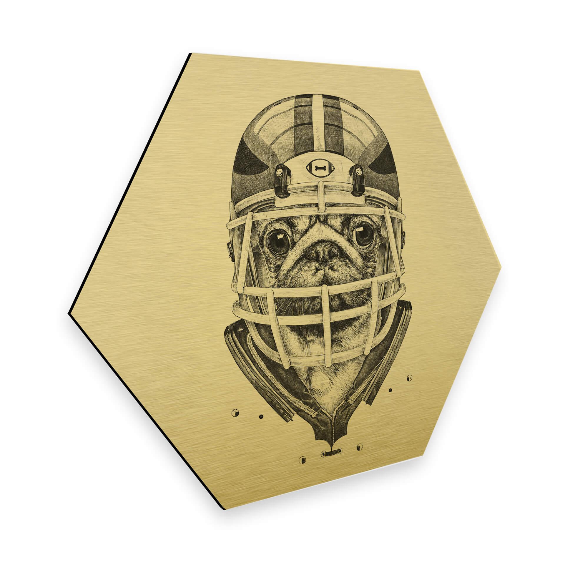 Hexagon - Alu-Dibond goud effect Kools - American Pug Football