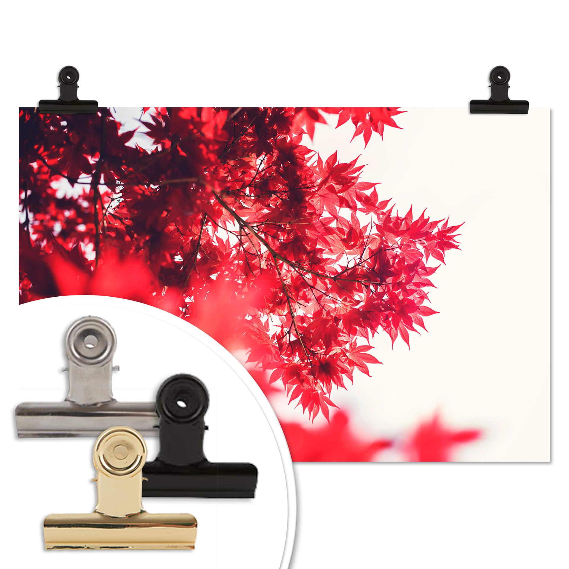 Poster Esdoorn in de Herfst