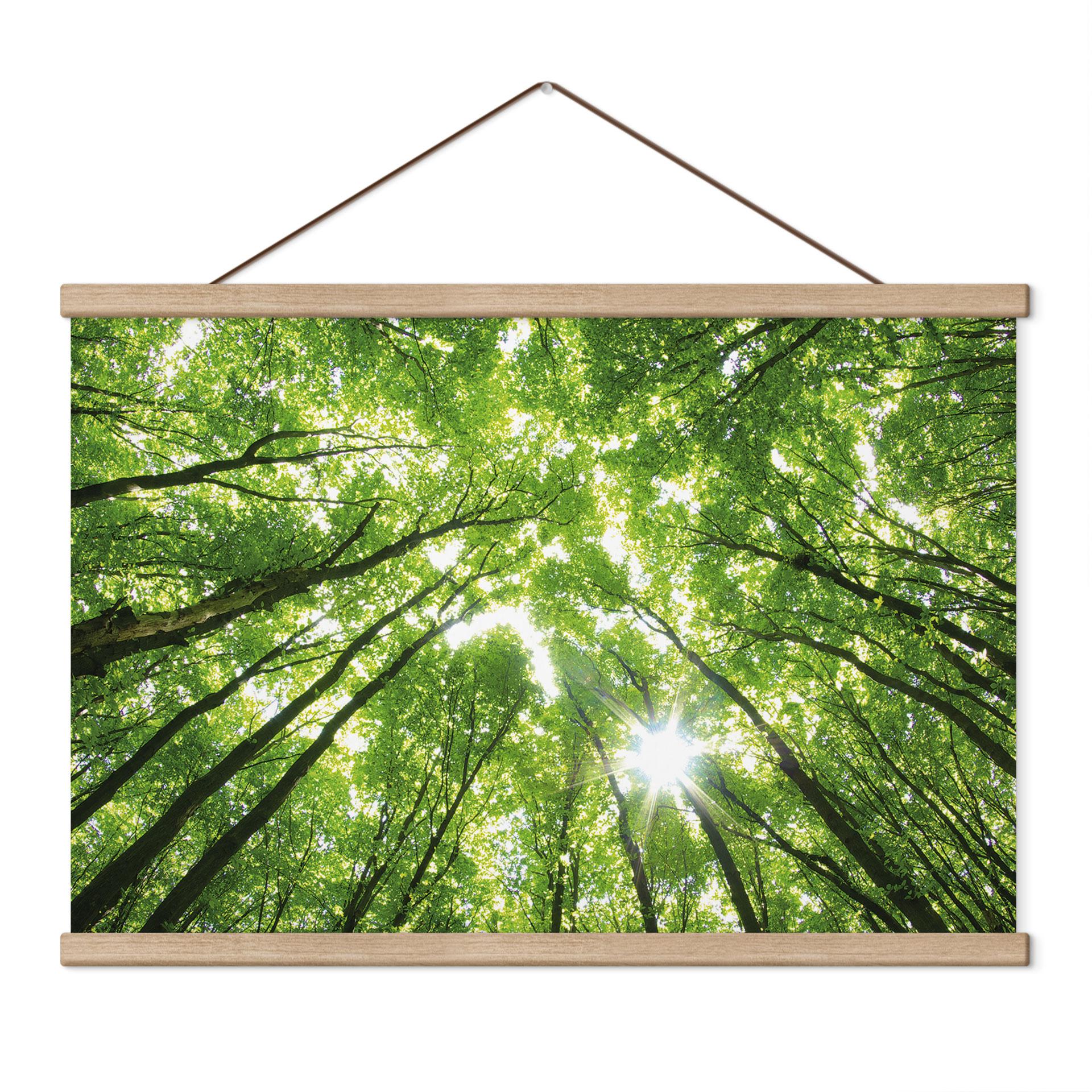 Textielposter Bomen in het Bos