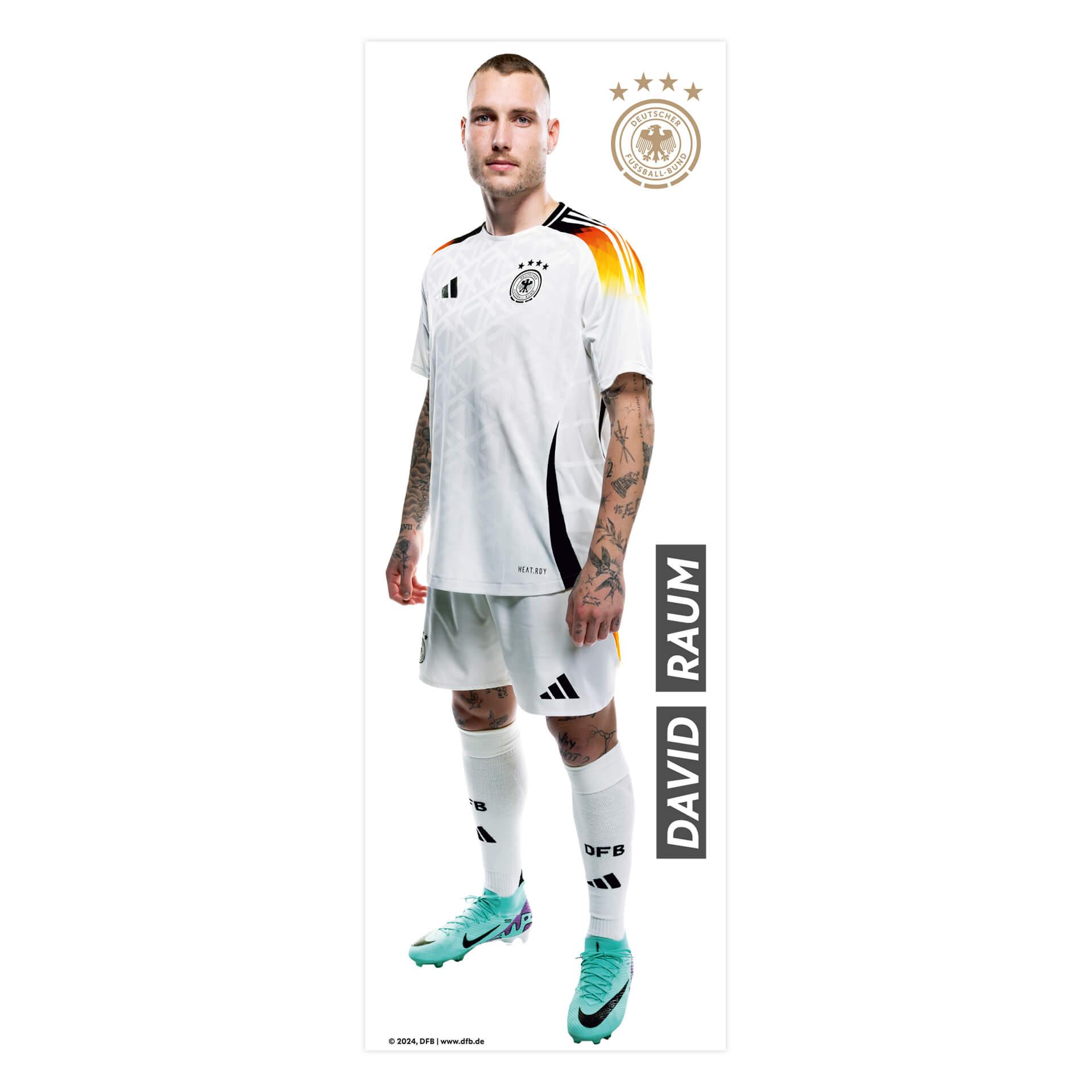 DFB Sticker EM für die Wand, Wandtattoo - Raum