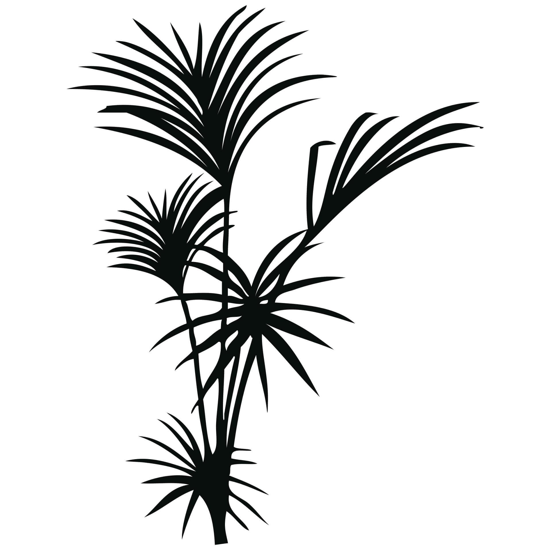 Muursticker Binnenpalm