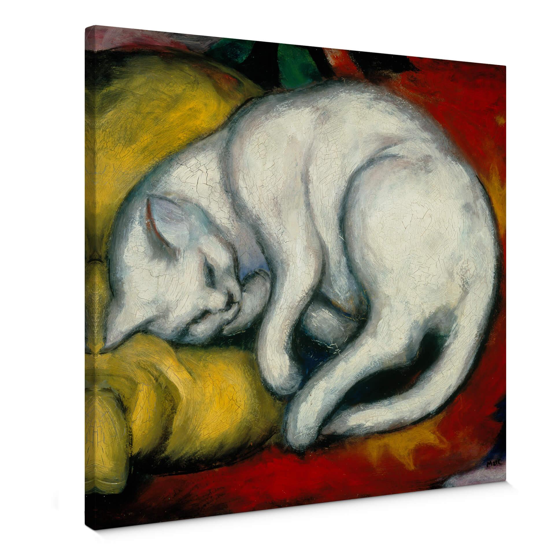 Canvastavla Marc - Den vita katten - fyrkantig