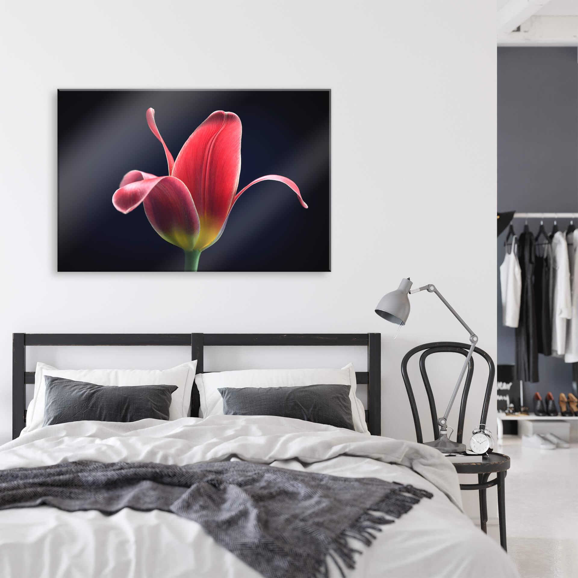 Acrylglas Grønkjær - First Tulip