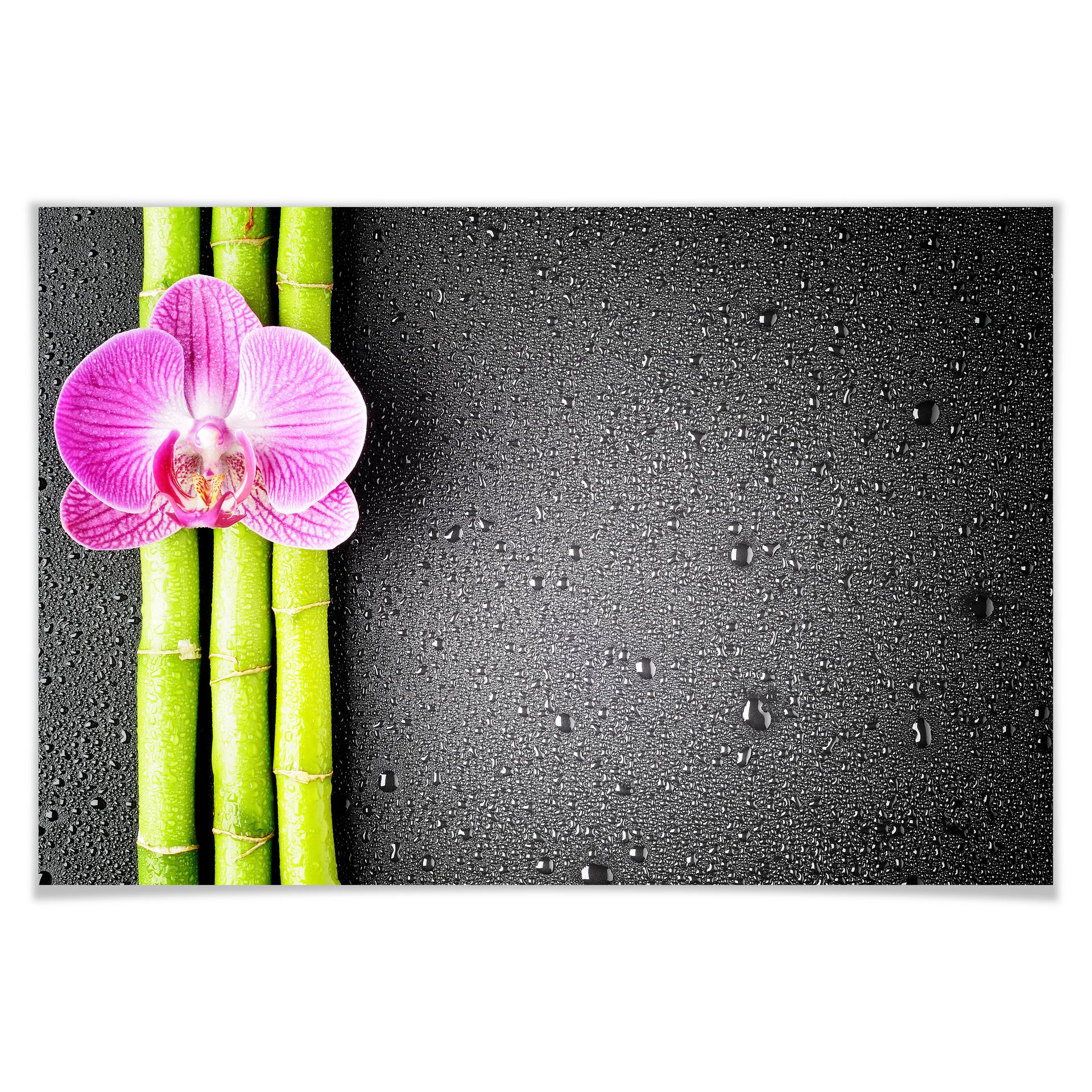 Poster - Orchid and Bamboo