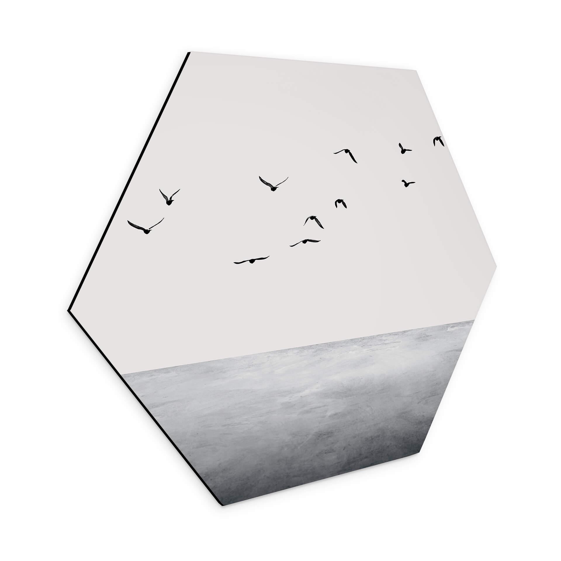 Hexagon Dibond Kubistika - Open Lake