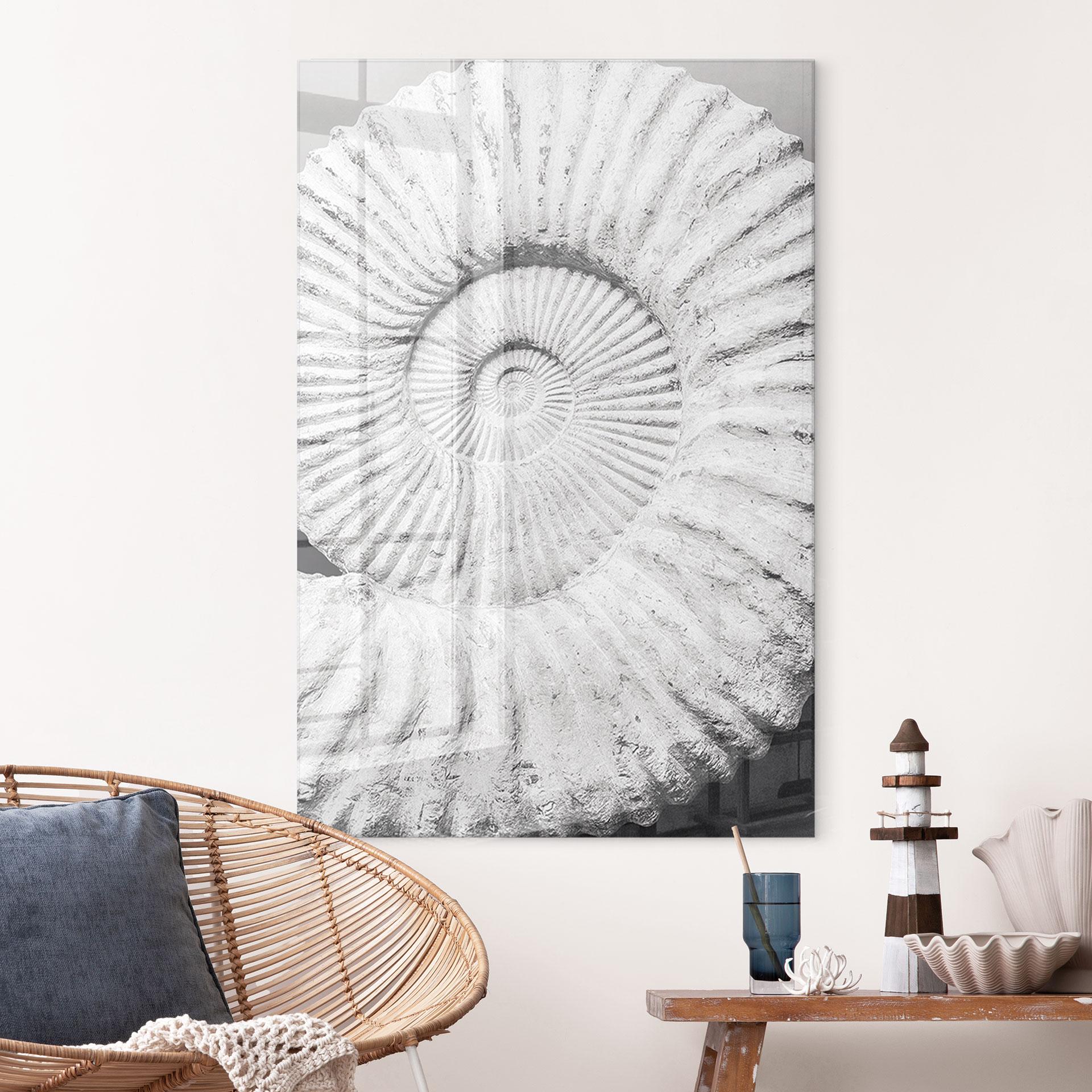 Akrylbillede Fossil muslingeskal - Shot-by-Clint