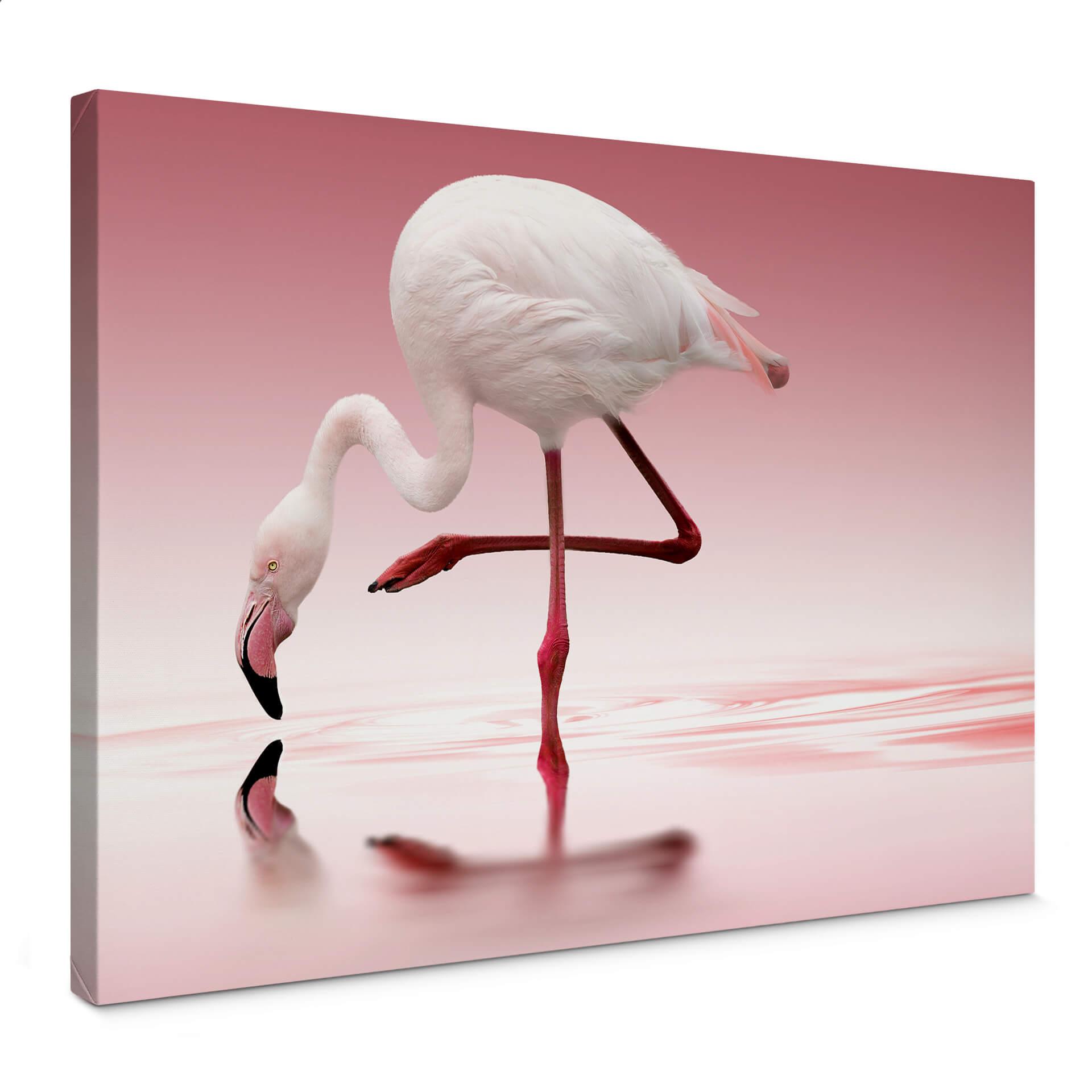Canvasbillede - Pink Flamingo