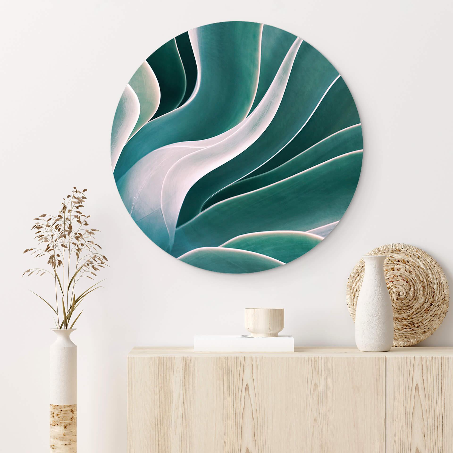 Wandcirkel Wechsler - Agave in het Ochtendlicht