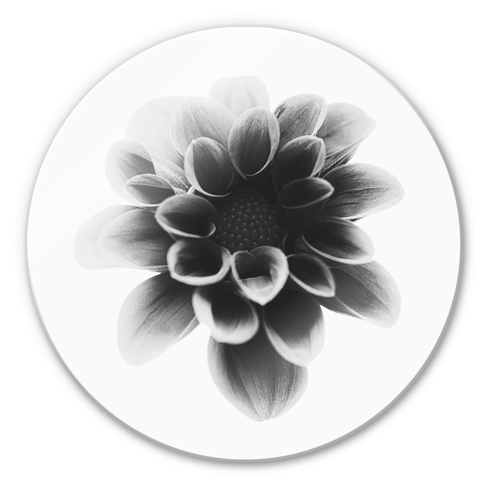 Tableau en verre Grønkjær - Dahlia - Rond