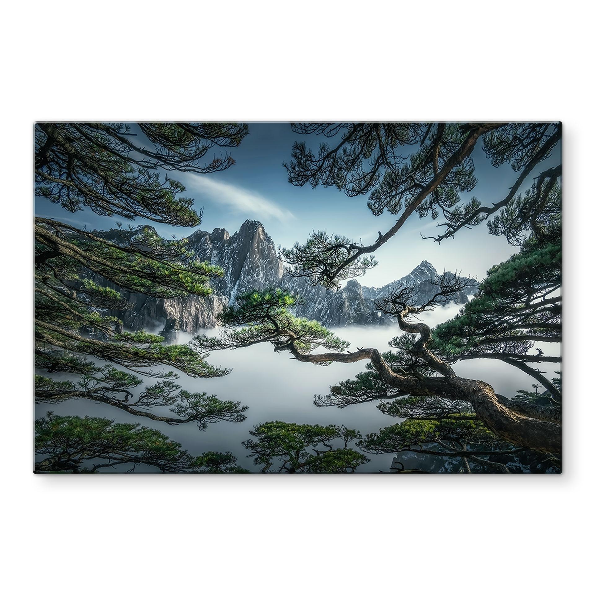 Plaskvagt fyrreskov i Huang Shan-bjergene - NingYun Ye