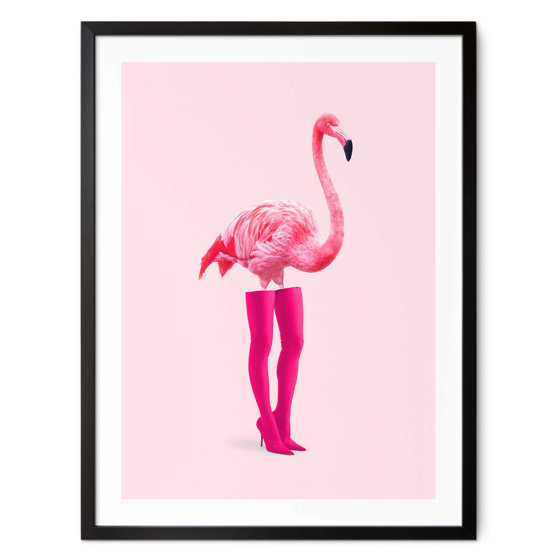 Plakat Pozdniakov - Flamingo Boots