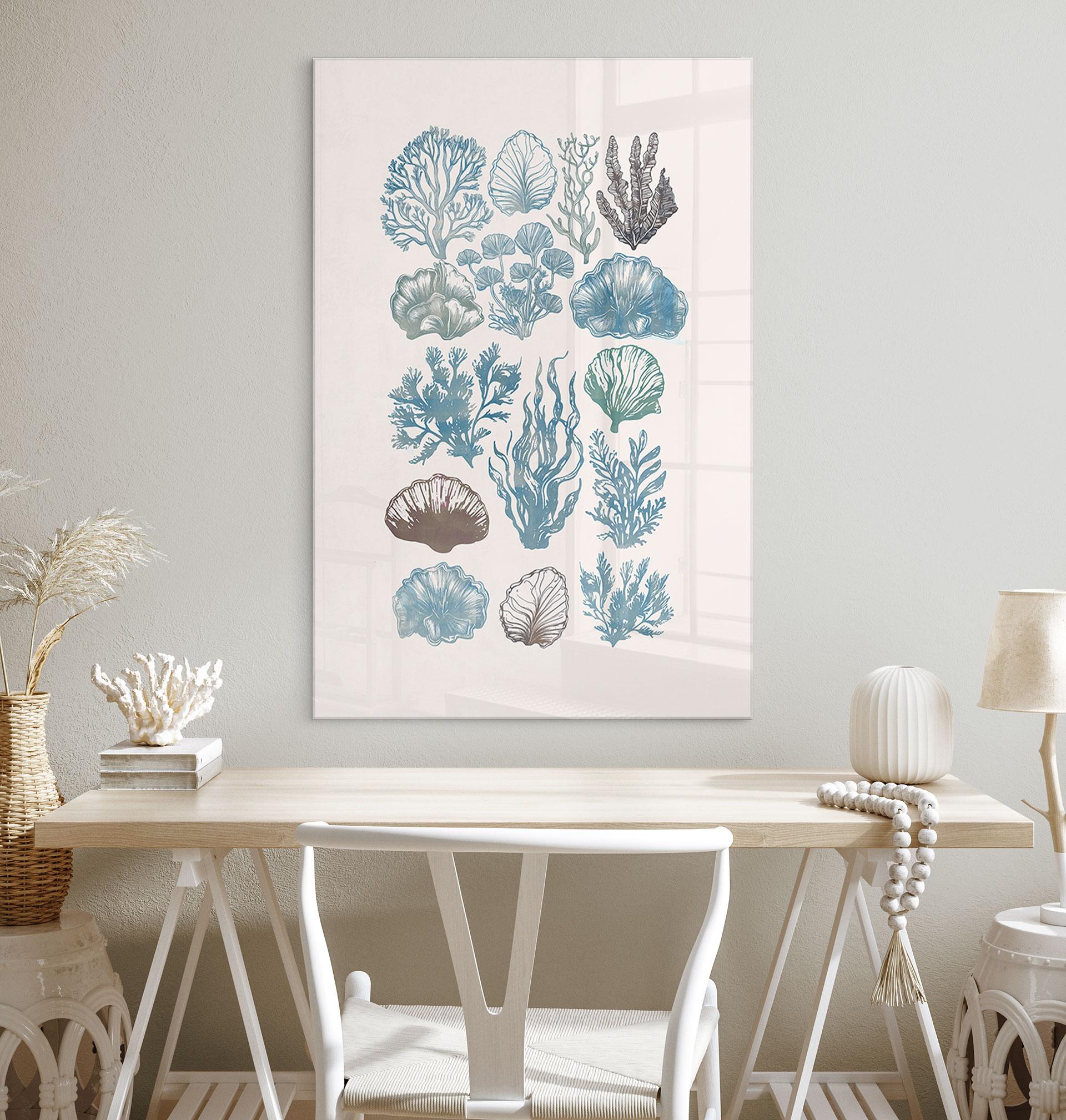 Acrylglas Filigraan algen en schelpen - casa cartissi