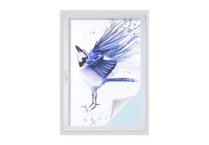 Lámina para ventanas Müller - Blue tit