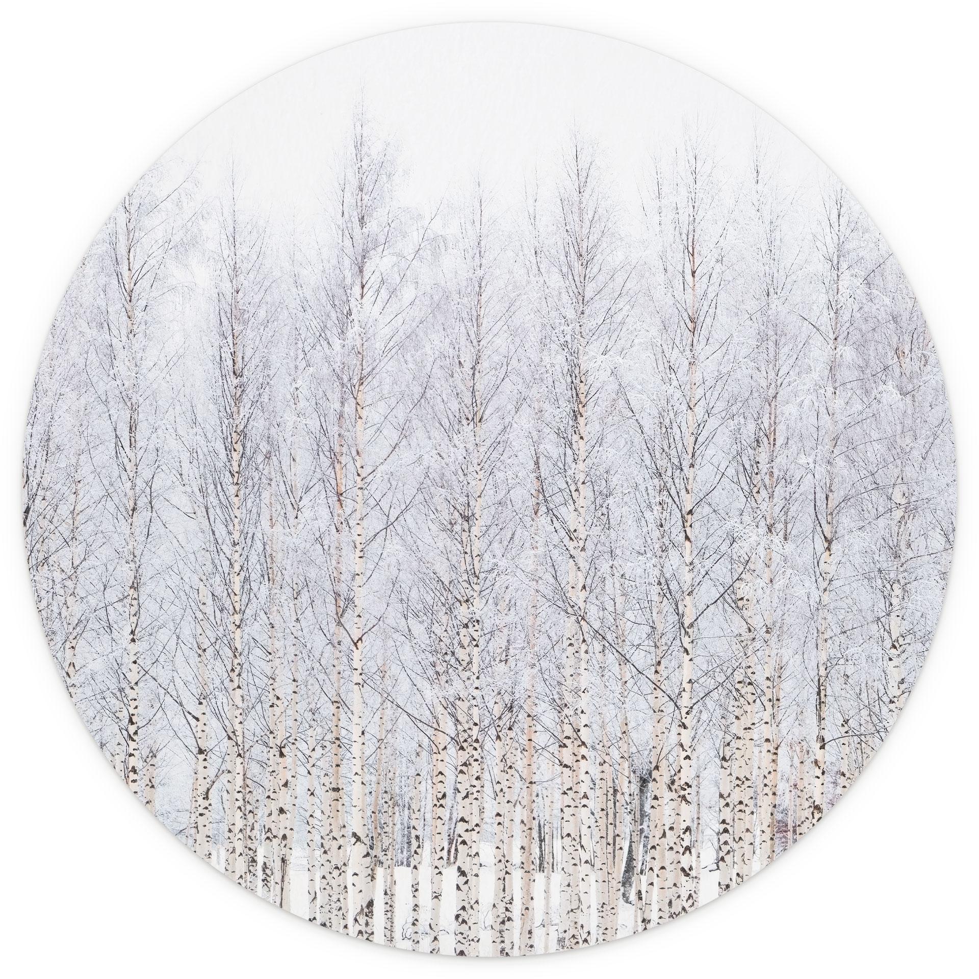 Fotobehang Bosbomen | Berkenbos in de Winter - EMELIEmaria - Rond - zelfklevend/niet-geweven