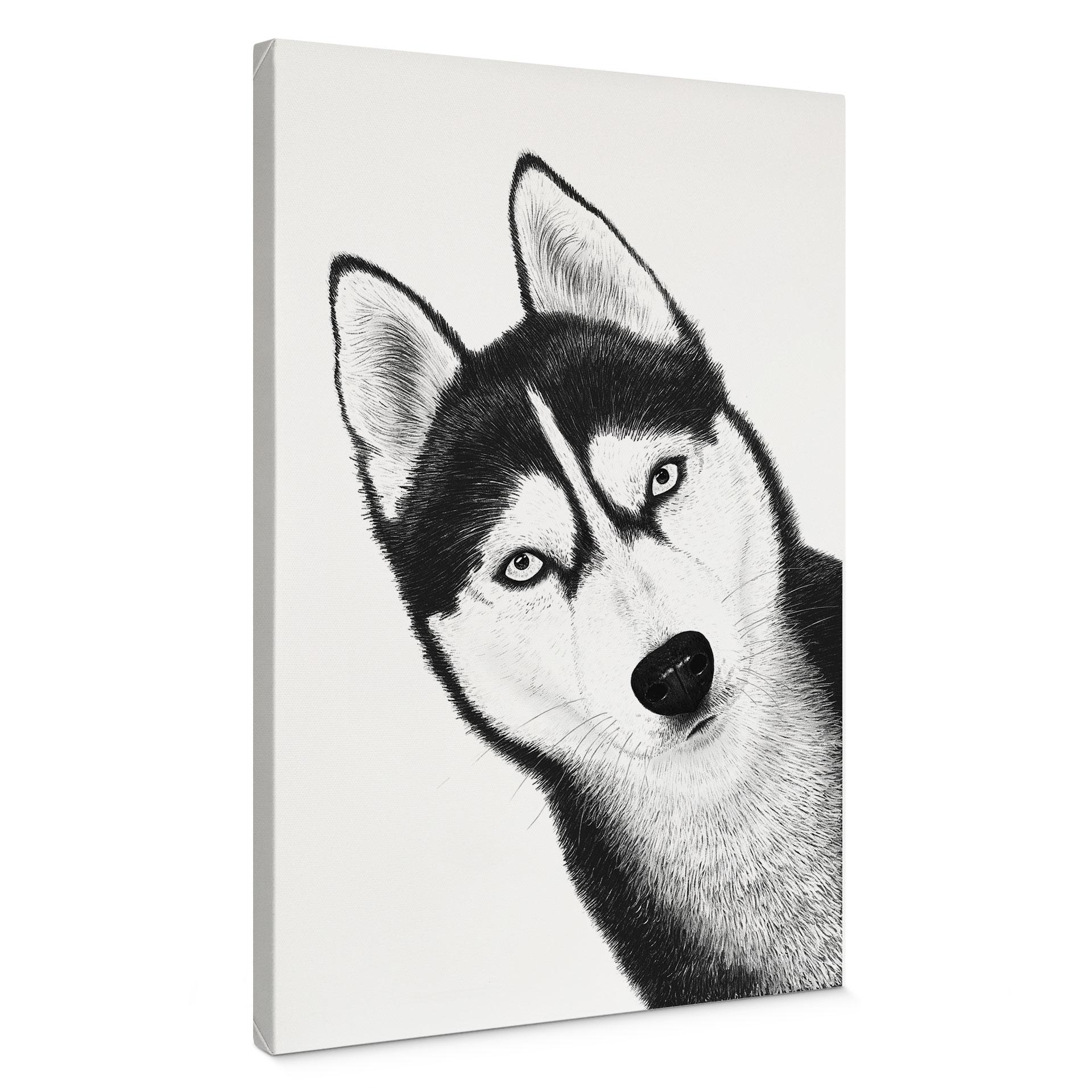 Canvasbillede Siberian husky - hundeportræt - Korenkova