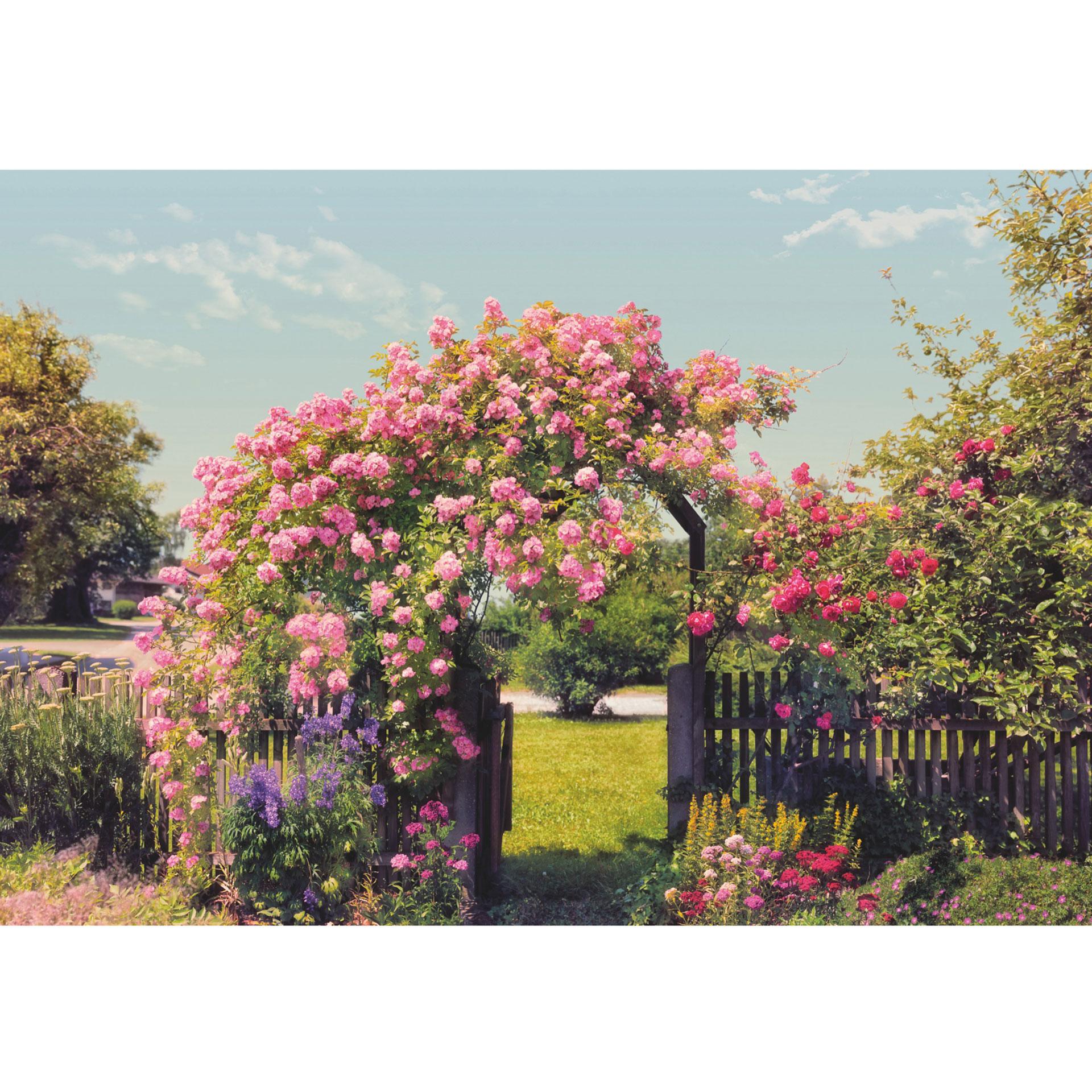 Fotobehang Papierbehang Rose Garden