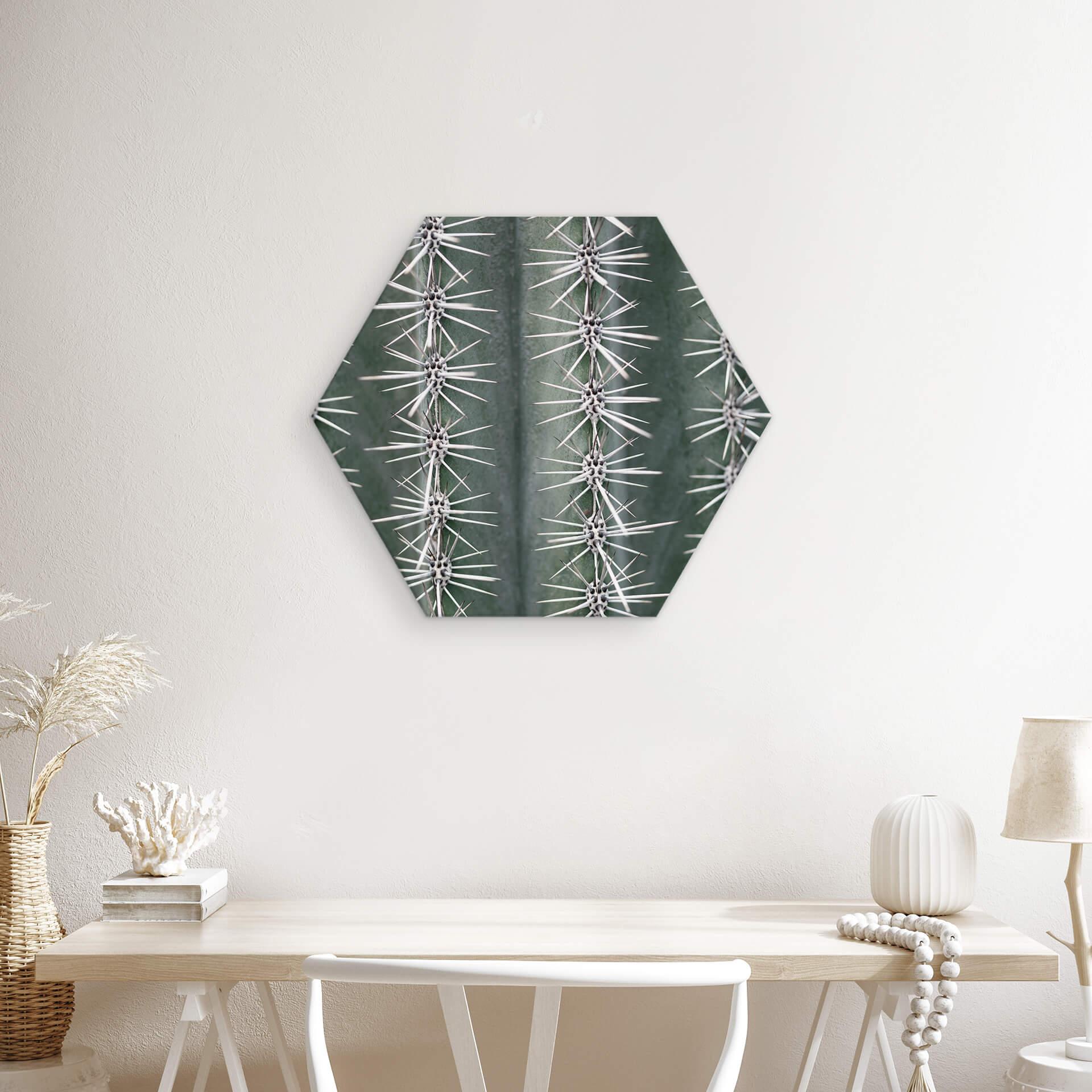 Hexagon Dibond 1X Studio - Cactus