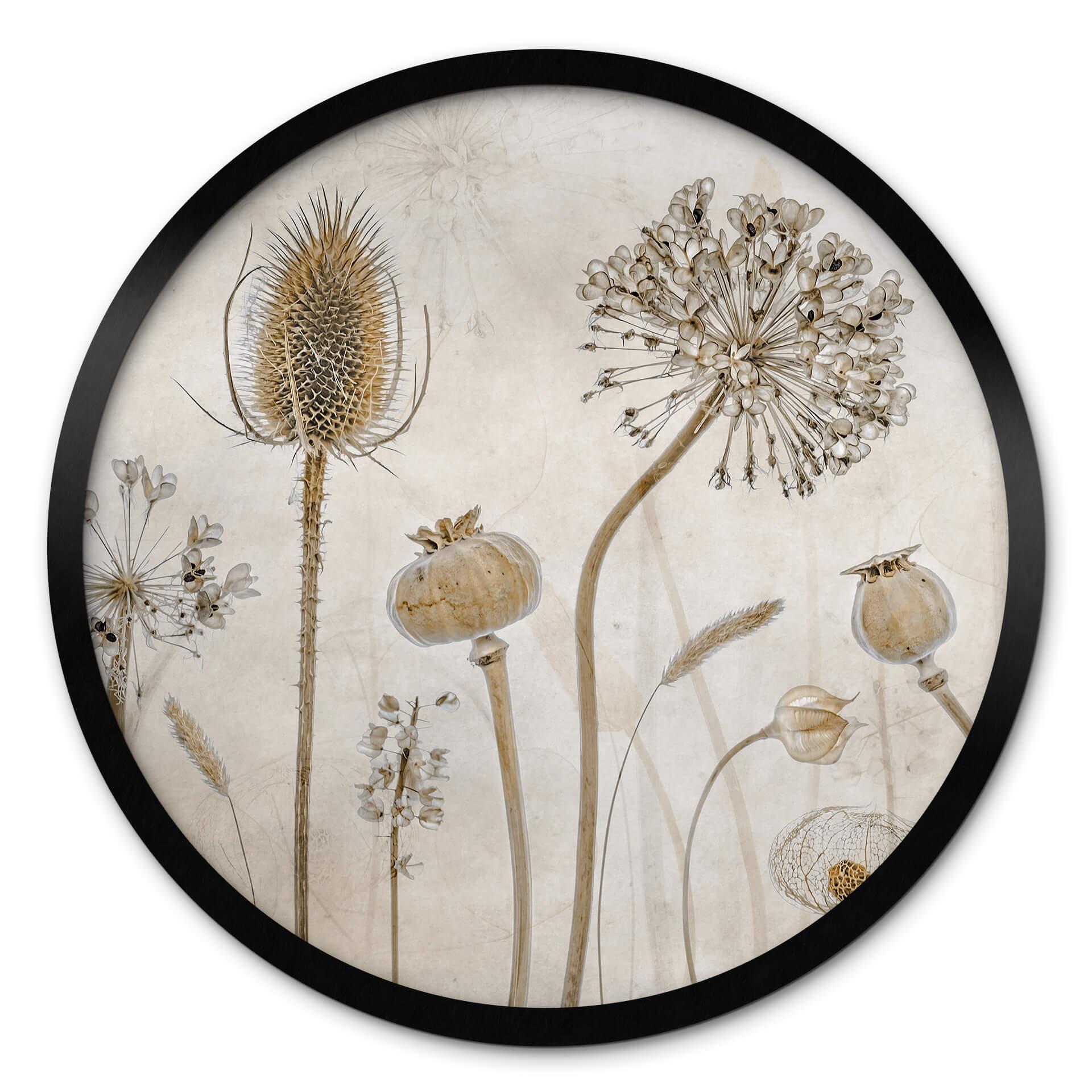 Poster Disher - Torkade blommor - Rund