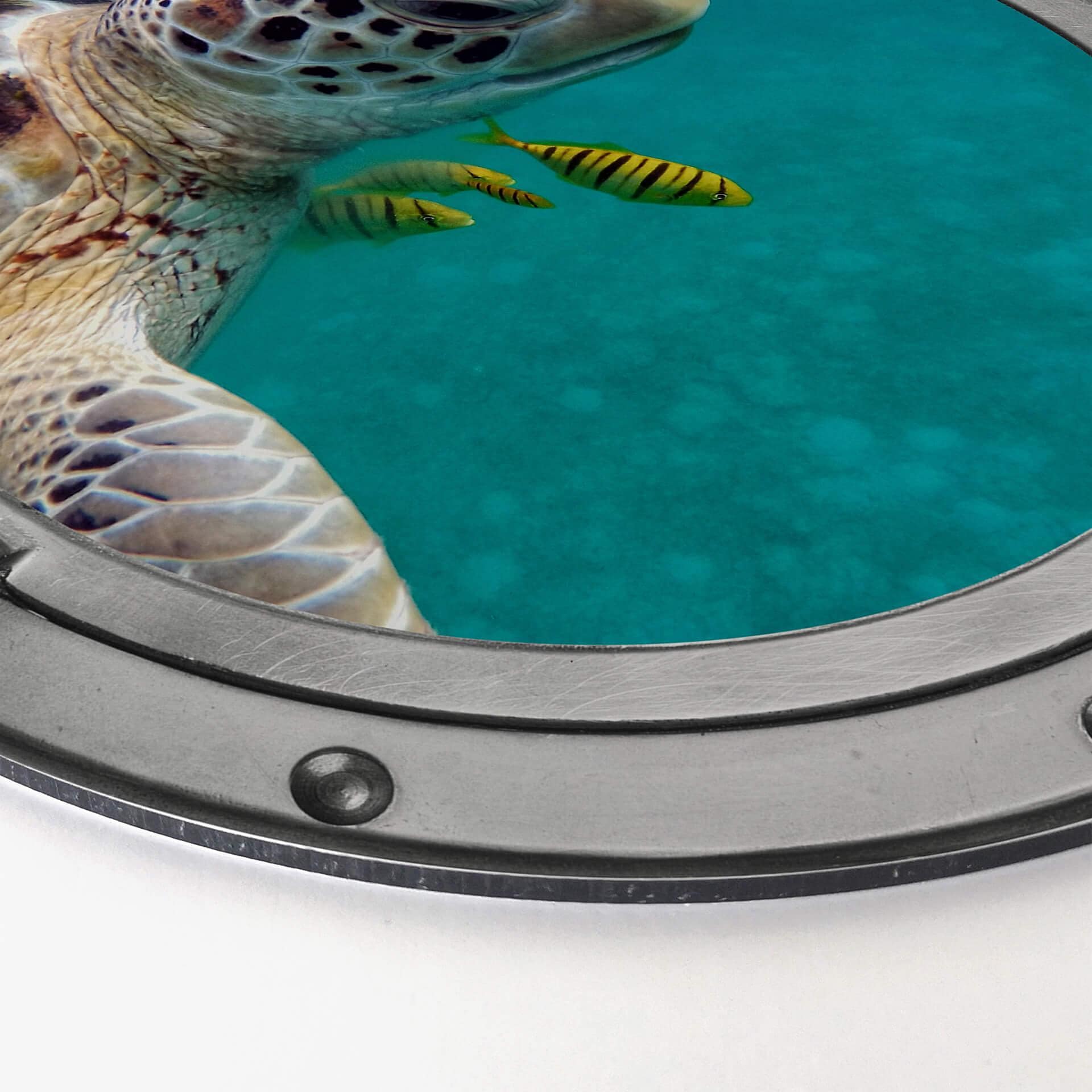 Alu-Dibond effetto 3D - Amici - tondo