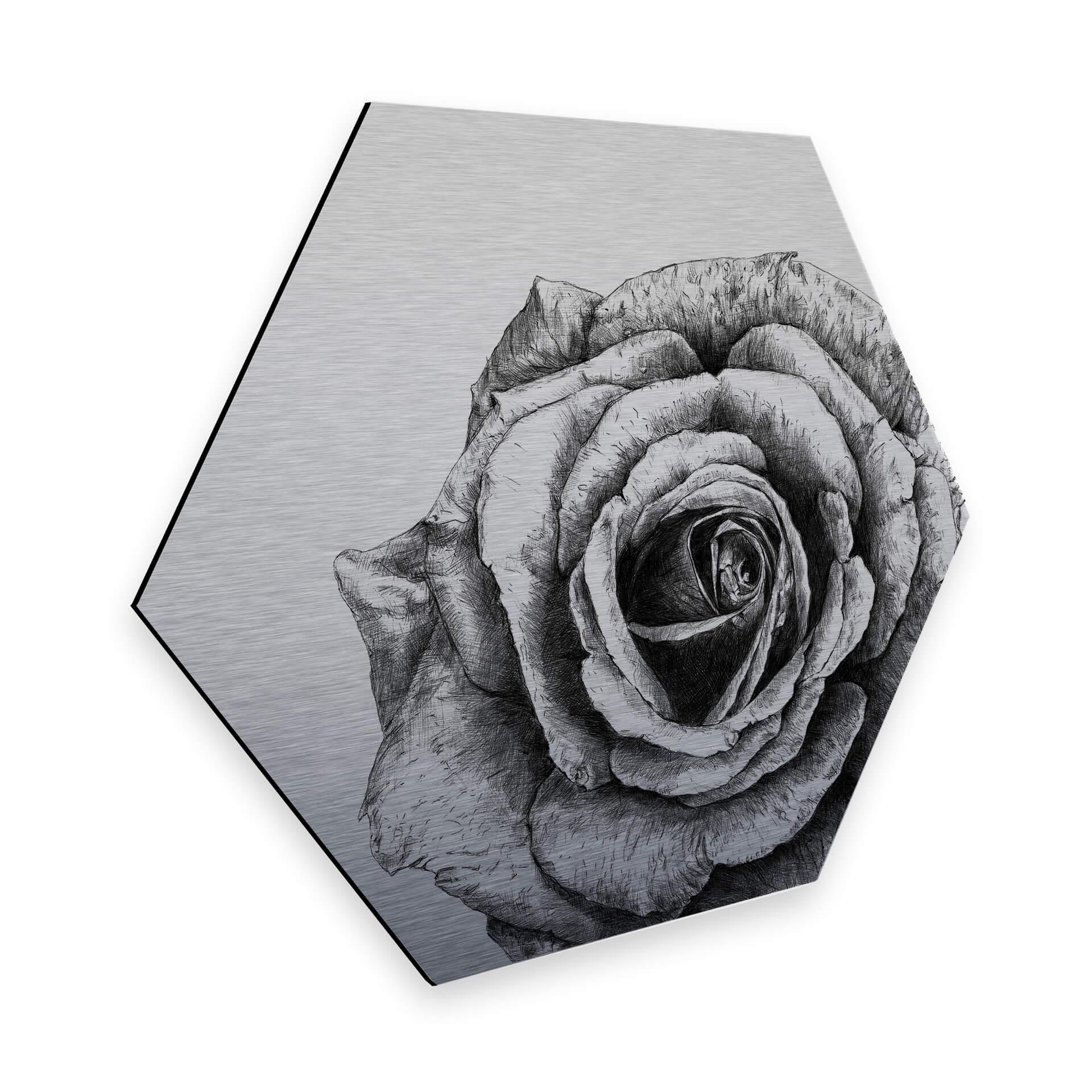 Hexagon - Alu-Dibond med sølveffekt - Kools - Rose