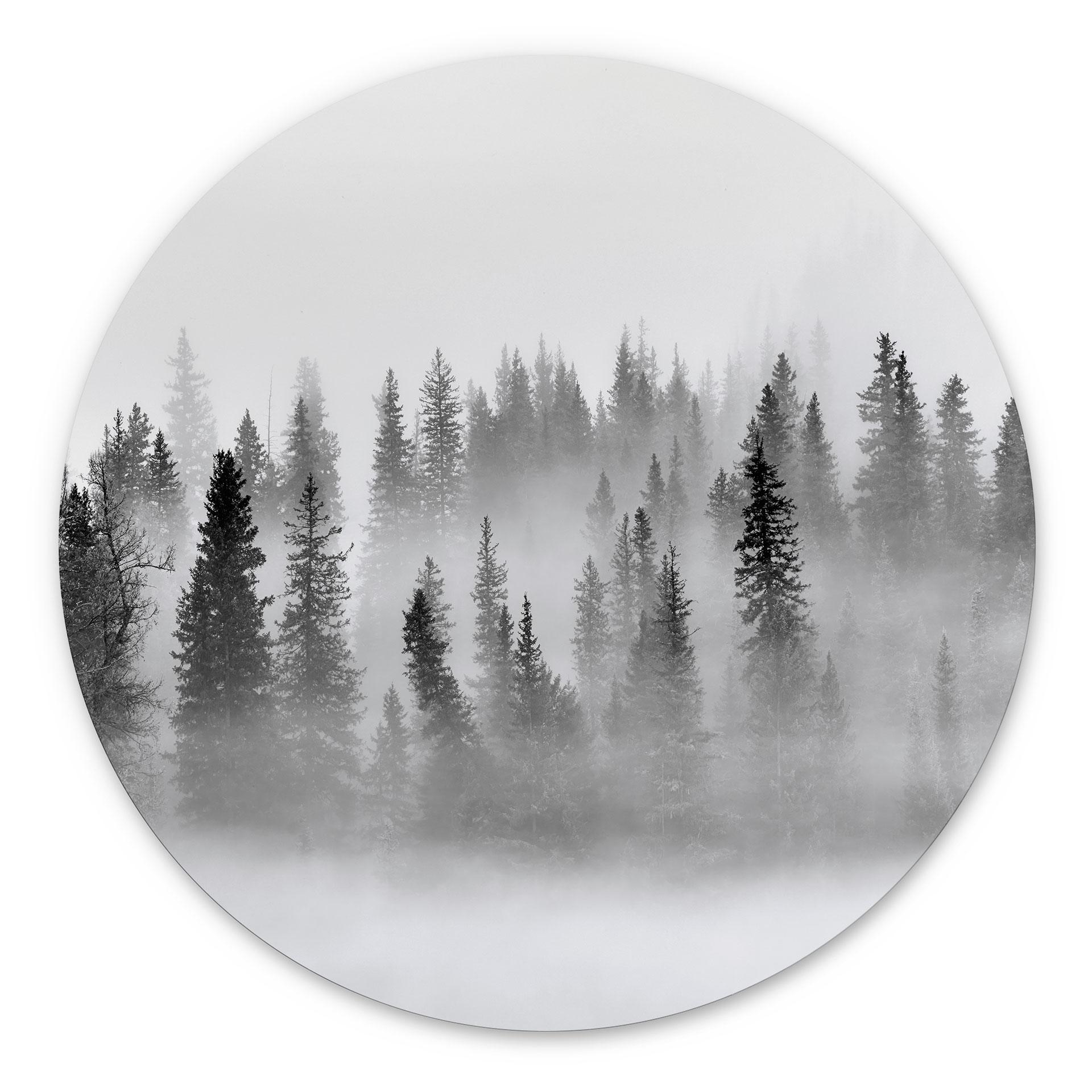 Vægcirkel Xu - Foggy Forest – print på aluminium (Alu-Dibond)