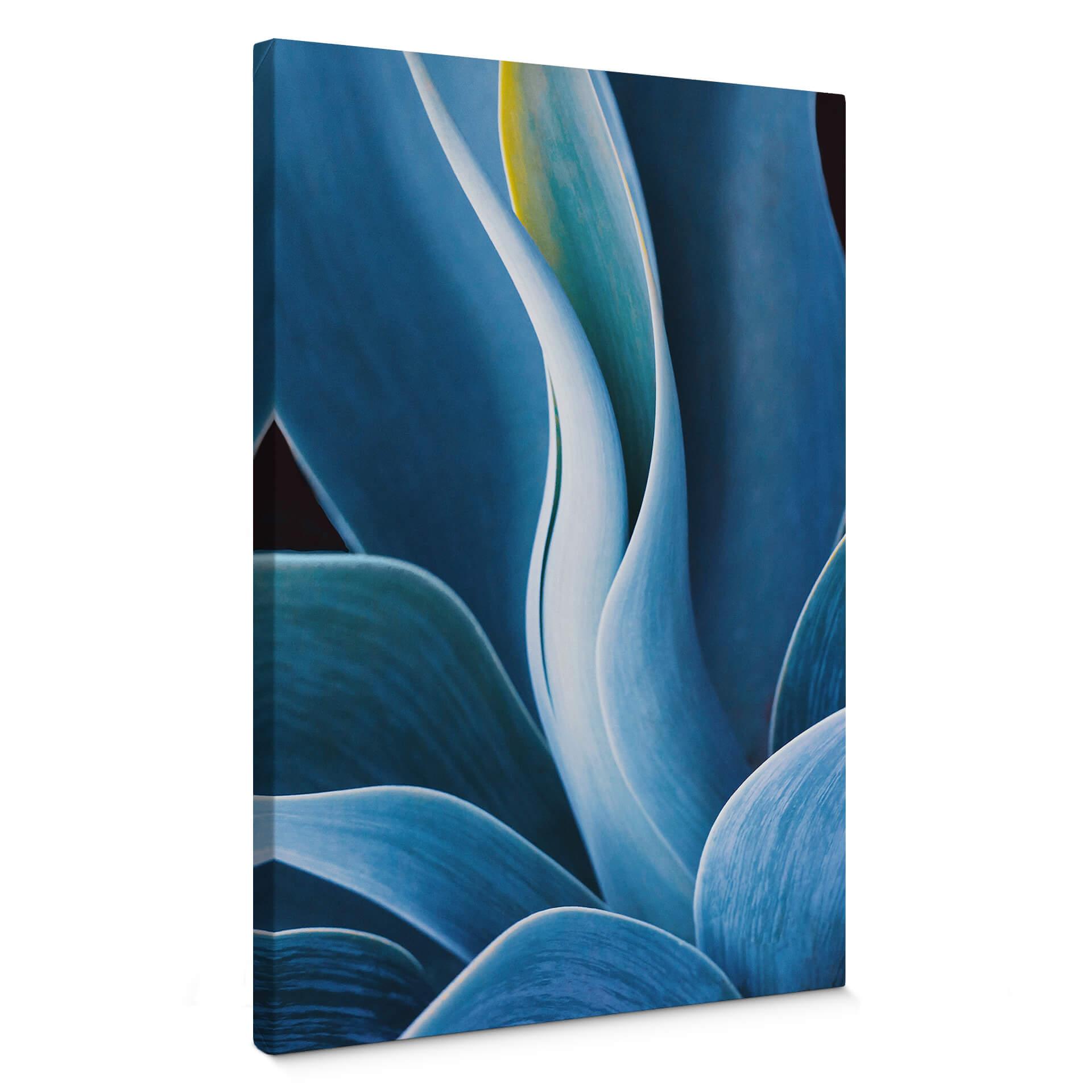 Lienzo Wechsler - Plantas naturaleza muerta agave