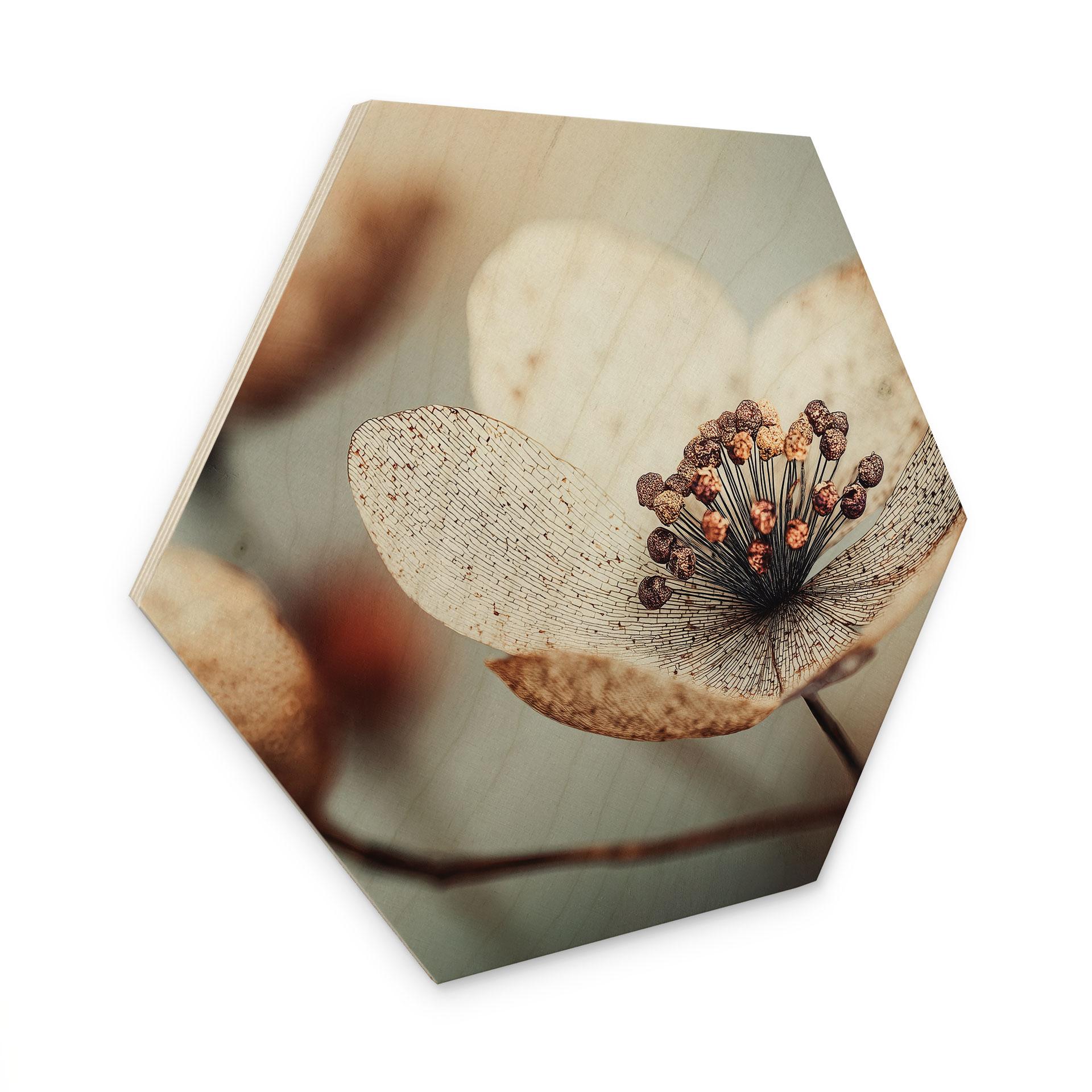 Sekskantet Billede af træ Boho tørret blomst makro - Treechild