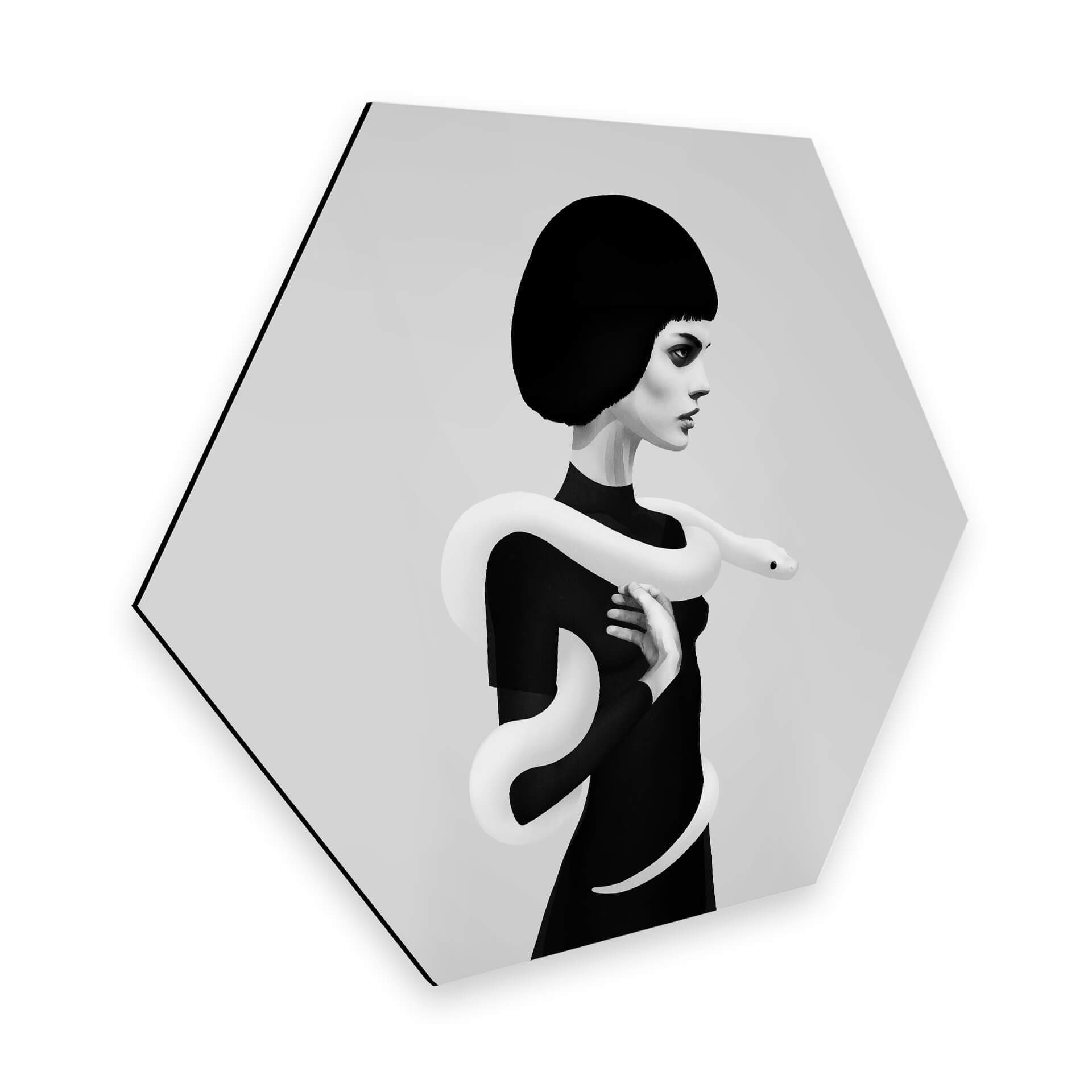 Hexagon Dibond Ireland - Only Skin