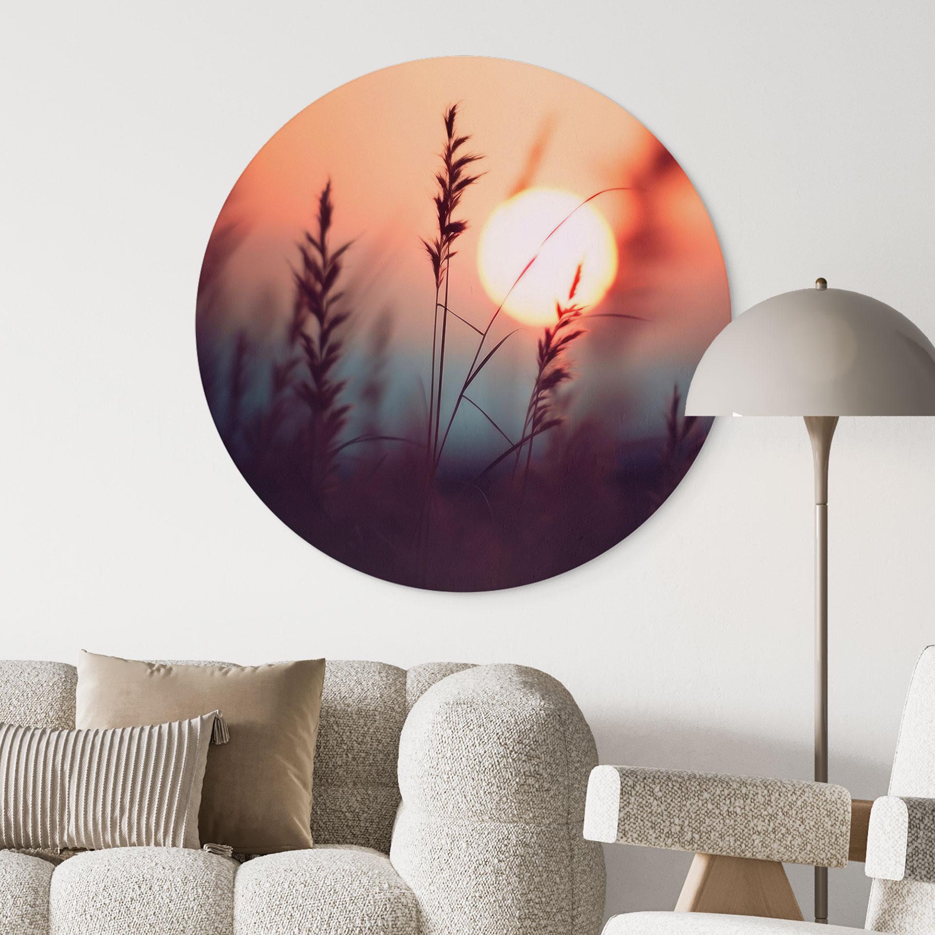 Billede Græsser i lyset af den glødende sol - Treechild - rund – print på aluminium (Alu-Dibond)