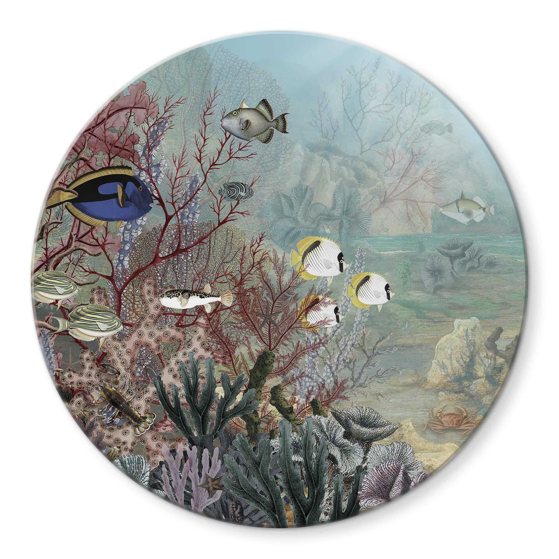 Tableau sur verre Sir Edward - habitant du corail