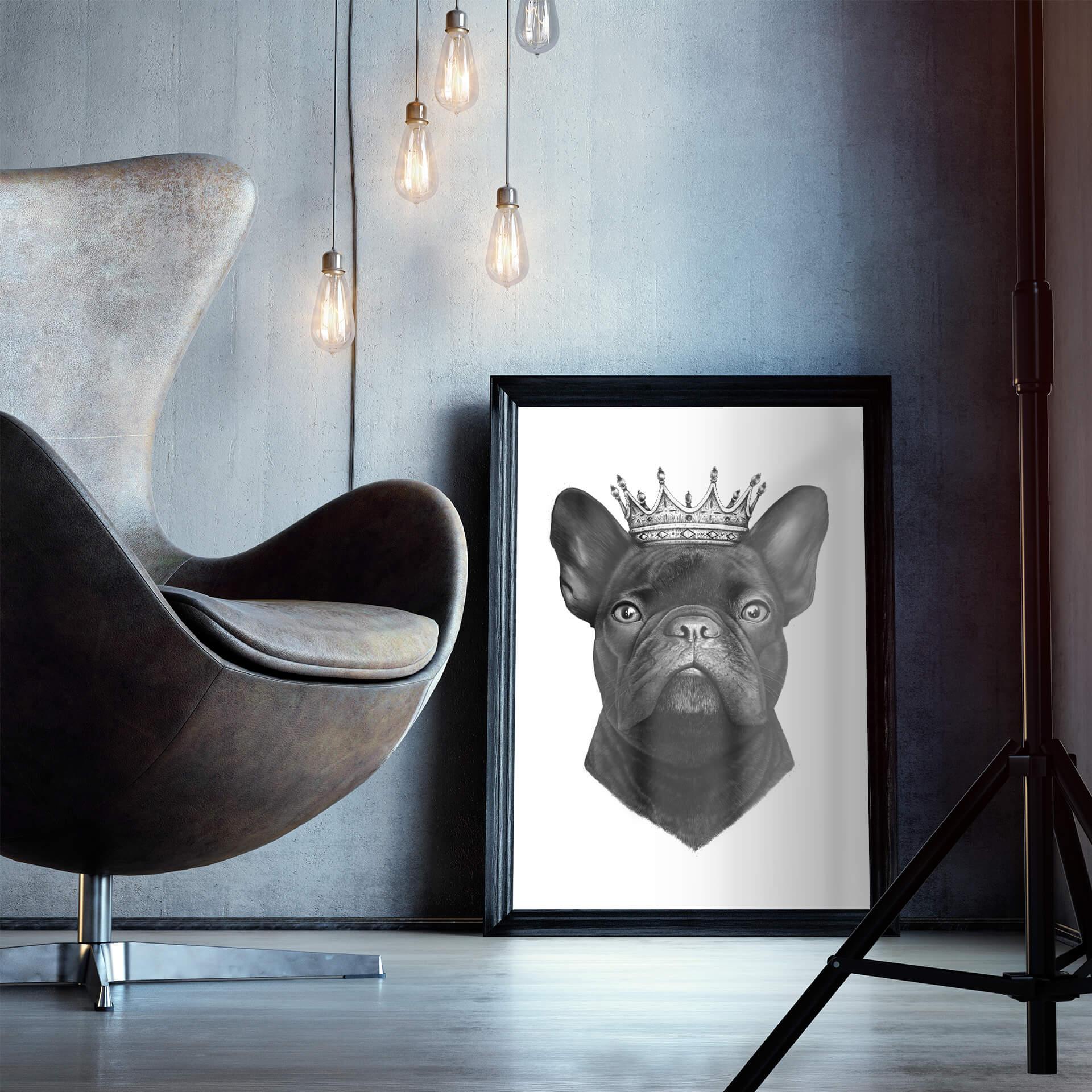 Plakat Korenkova - król buldogów francuskich