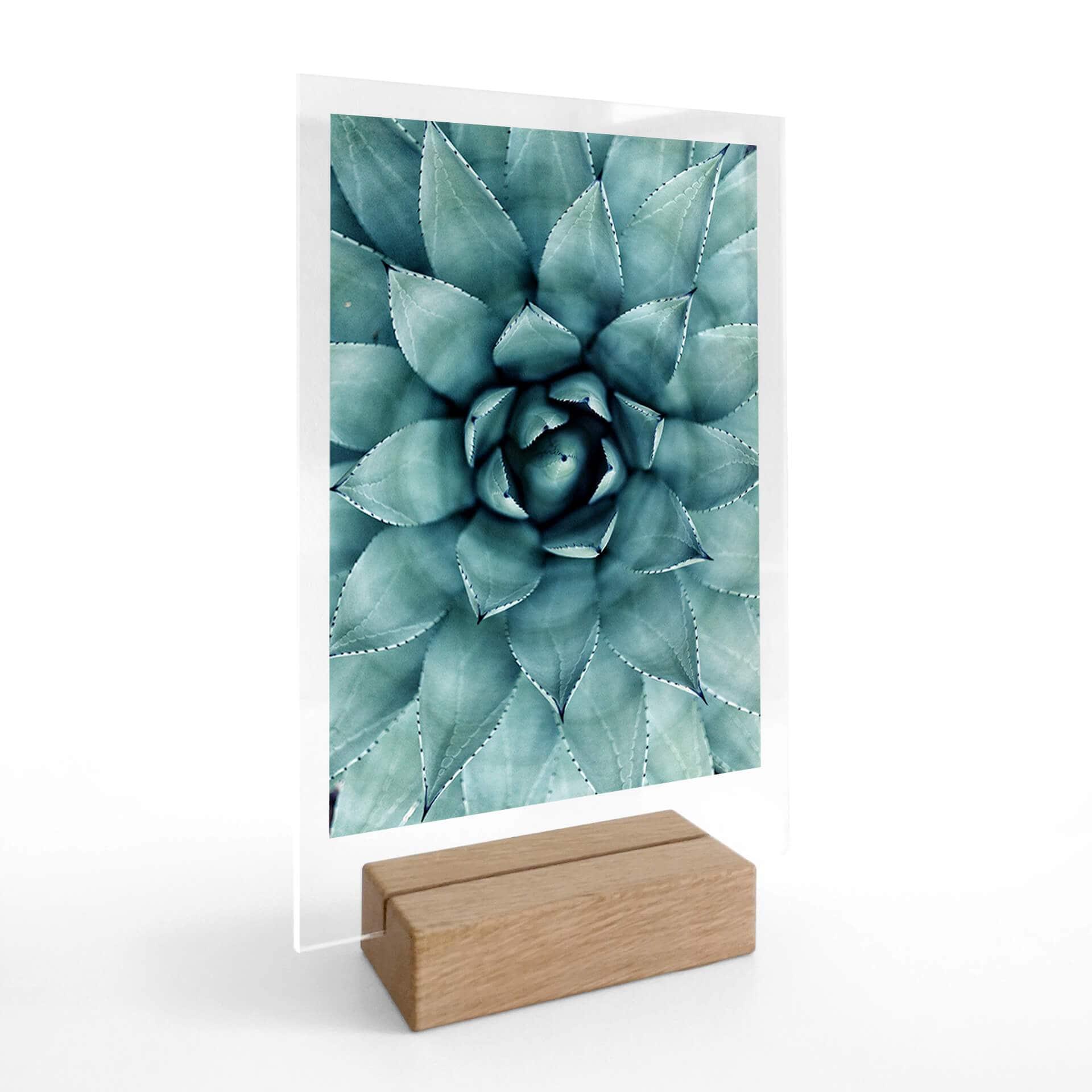 Bordskærm Agave 02