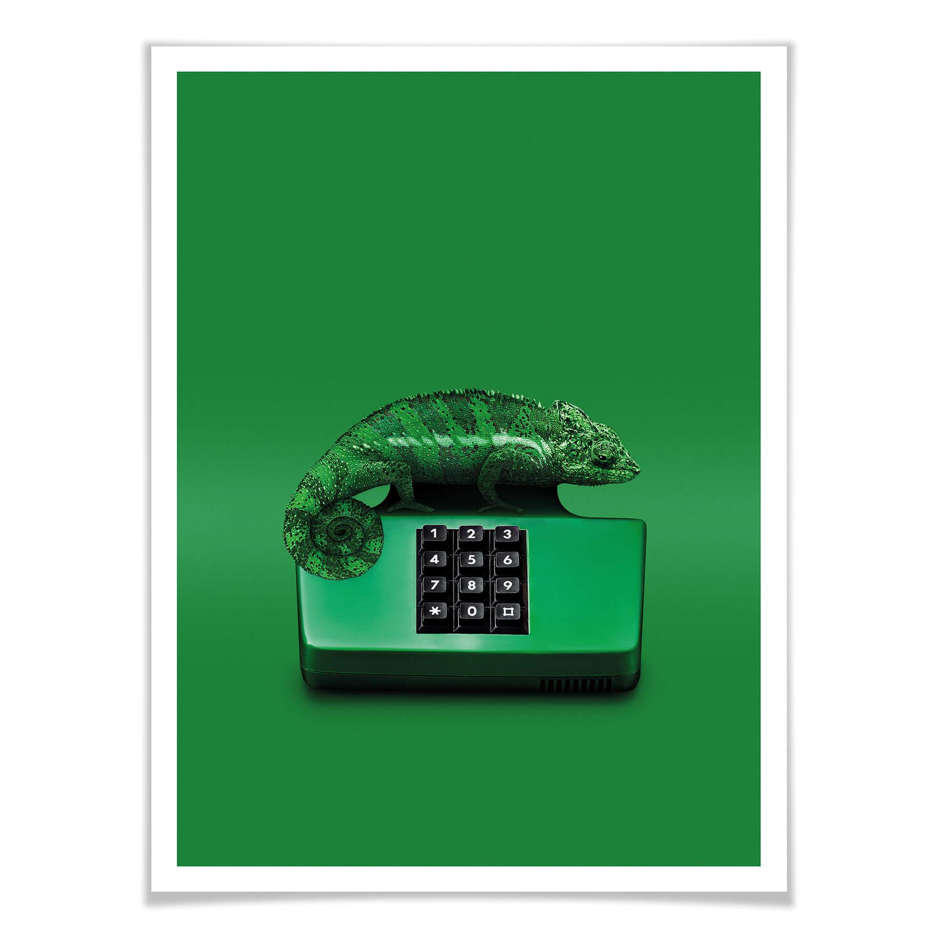 Póster Suelto - Camalephone