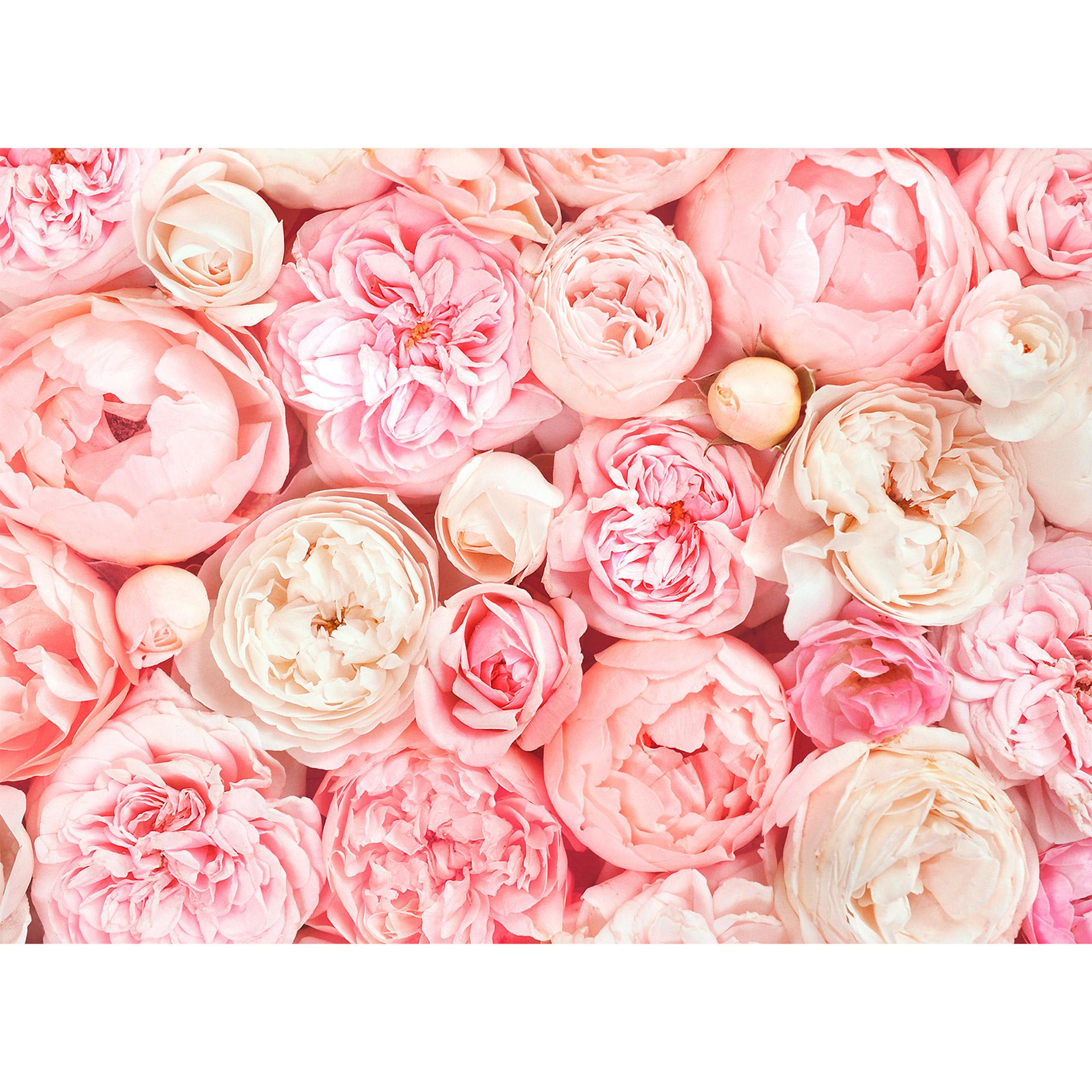 Livingwalls Fotobehang Designwalls Roses