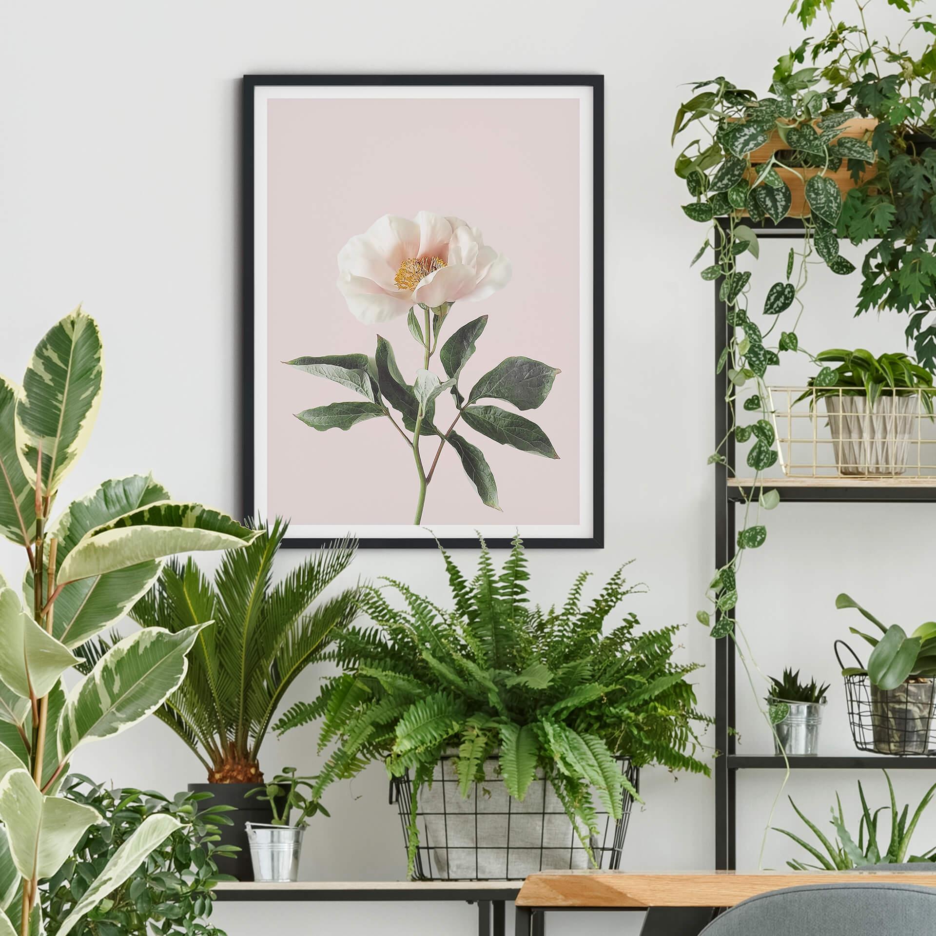 Poster Sisi & Seb - Delicate Flower
