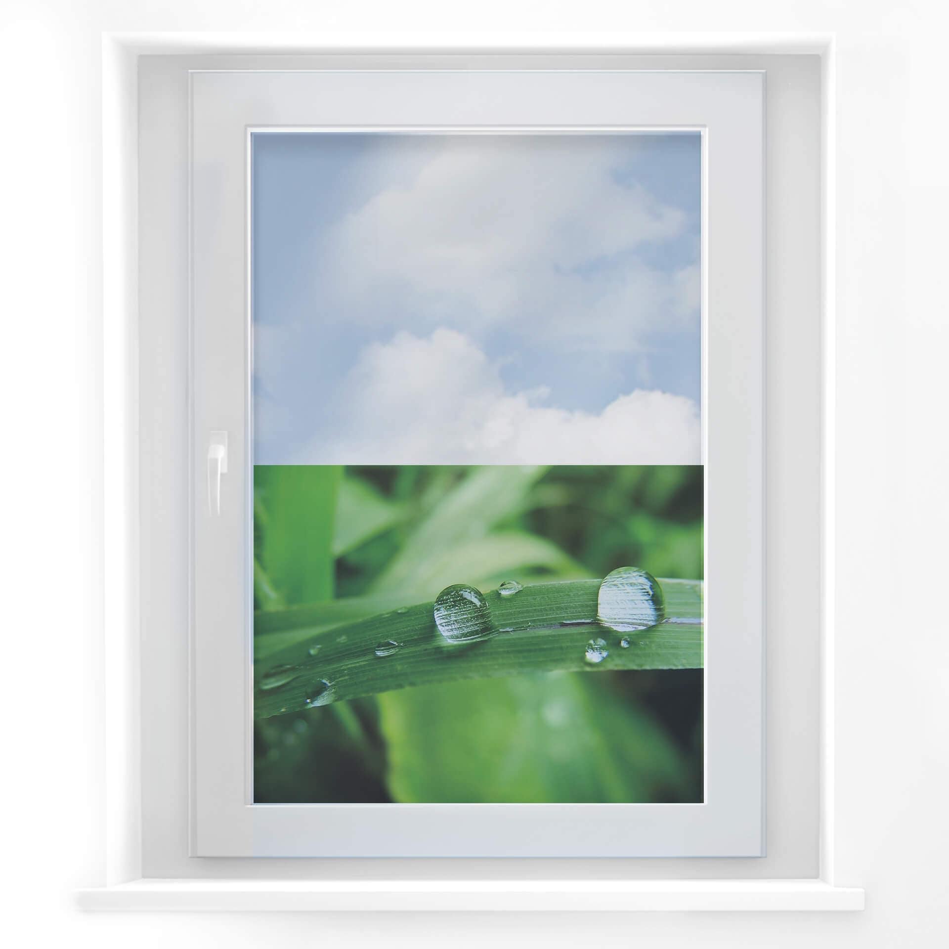 Vinduesudsmykning: Natur 4