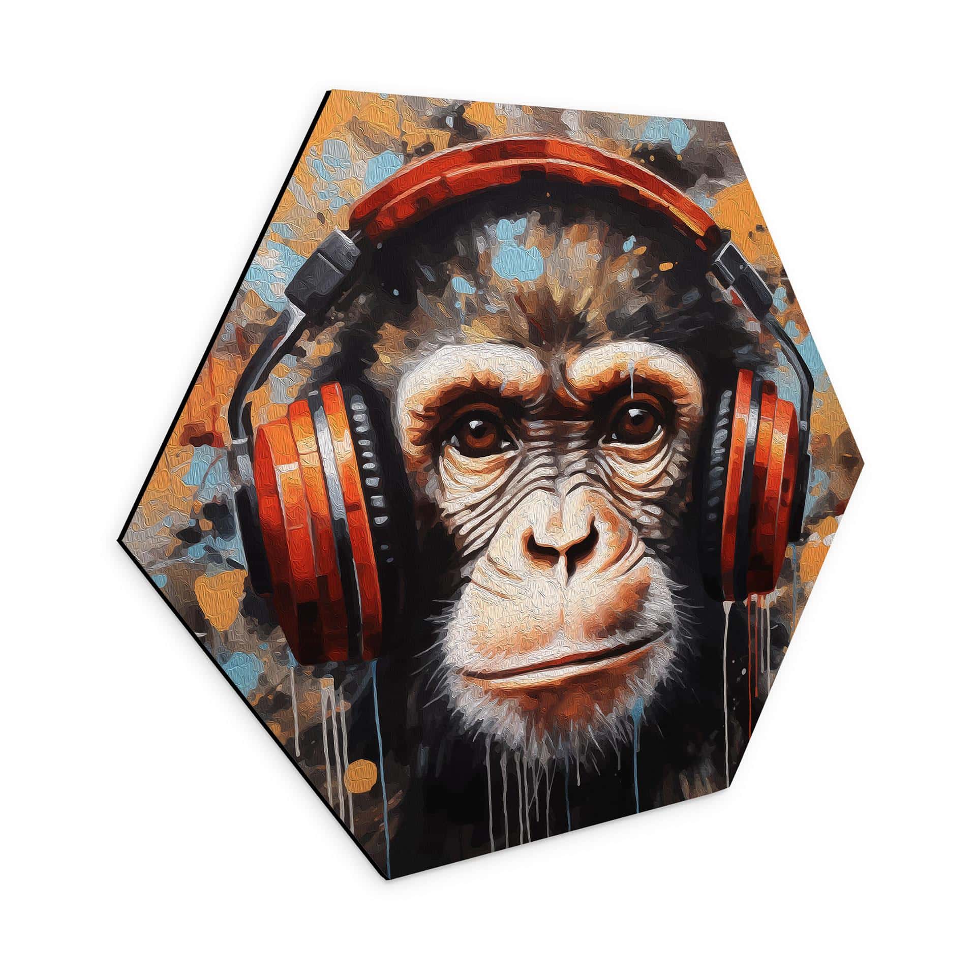 Hexagon Dibond DJ-abe med hovedtelefoner - Magnusson