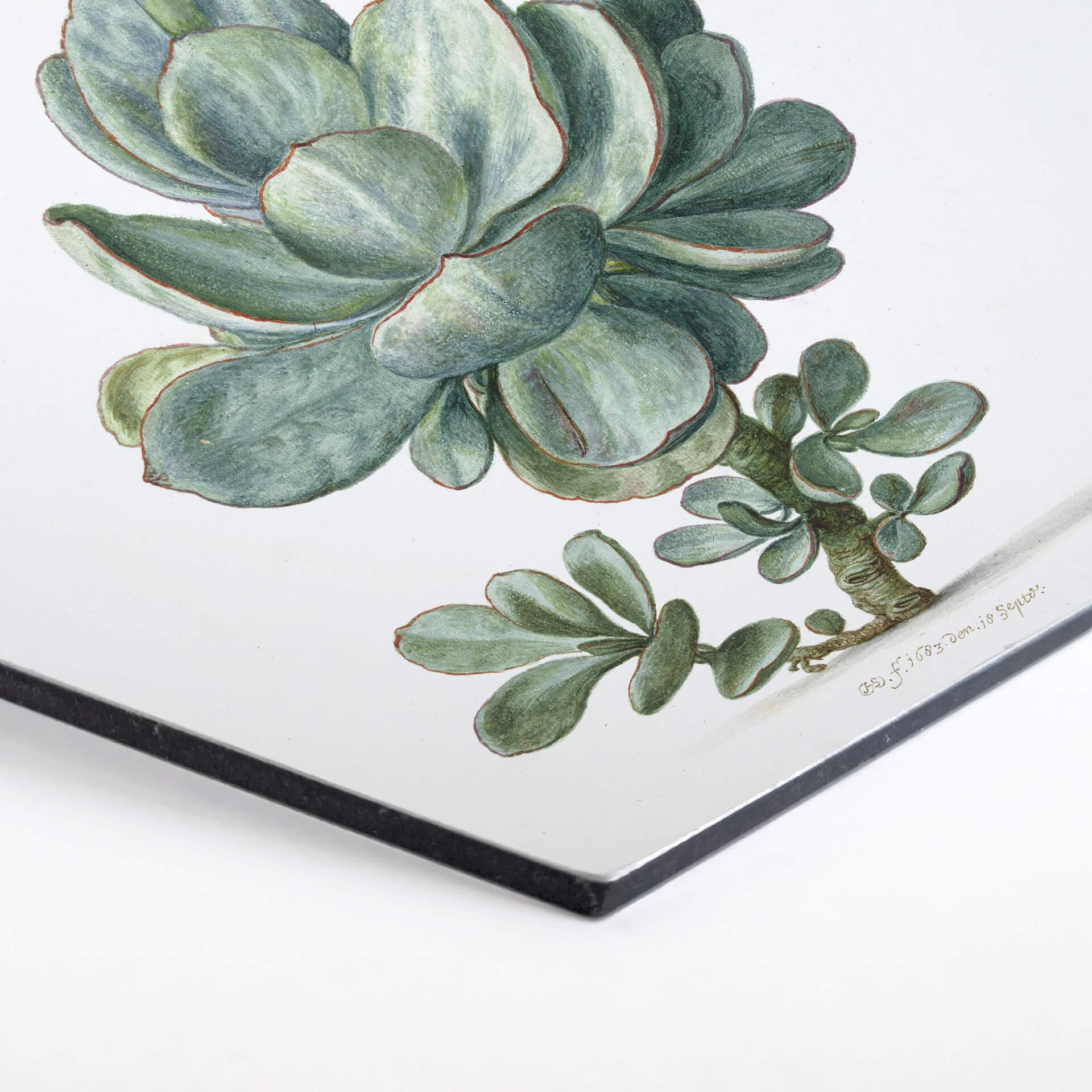 Hexagon Dibond Saftleven - Vetplant