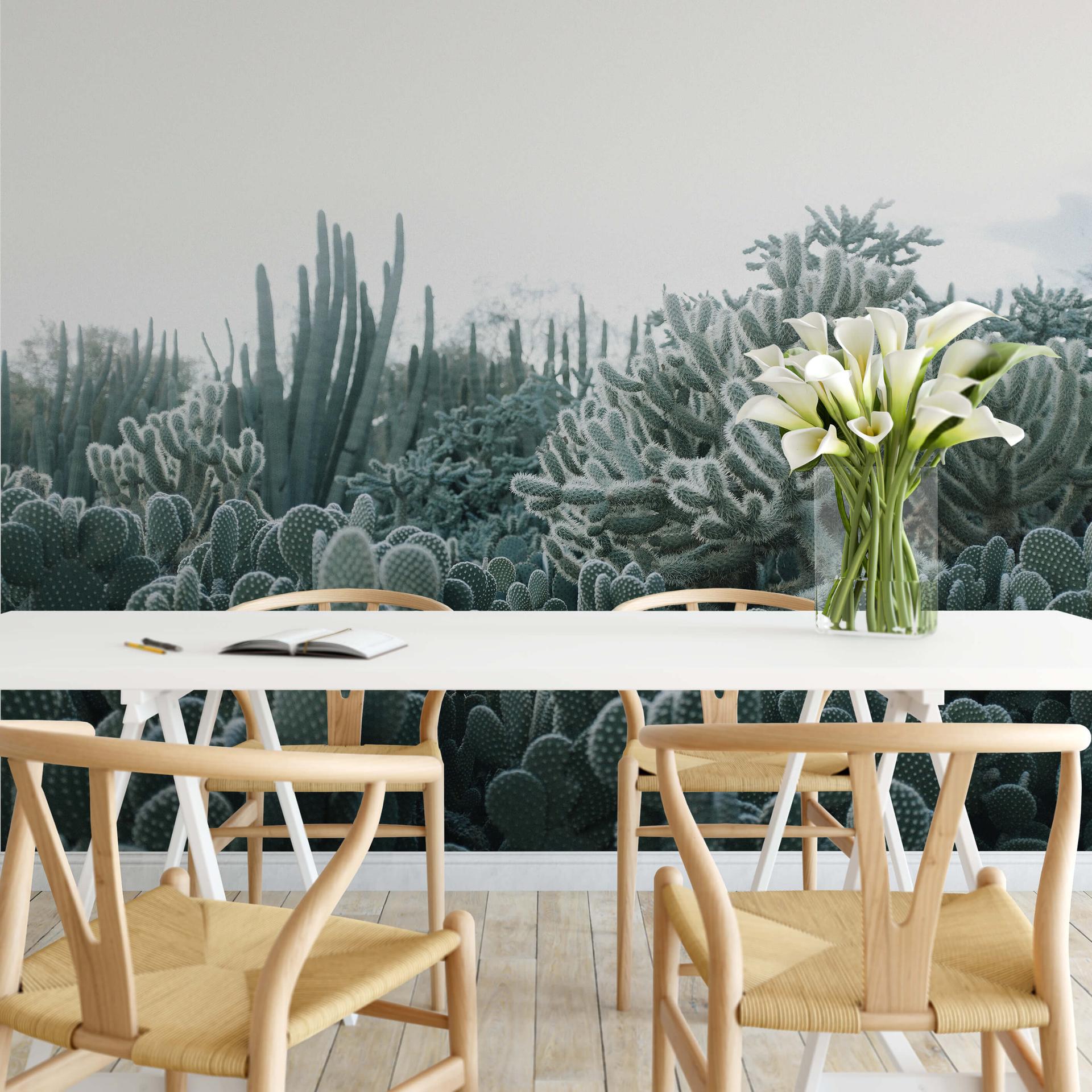 Fototapet Sukkulenter - 288x260 cm