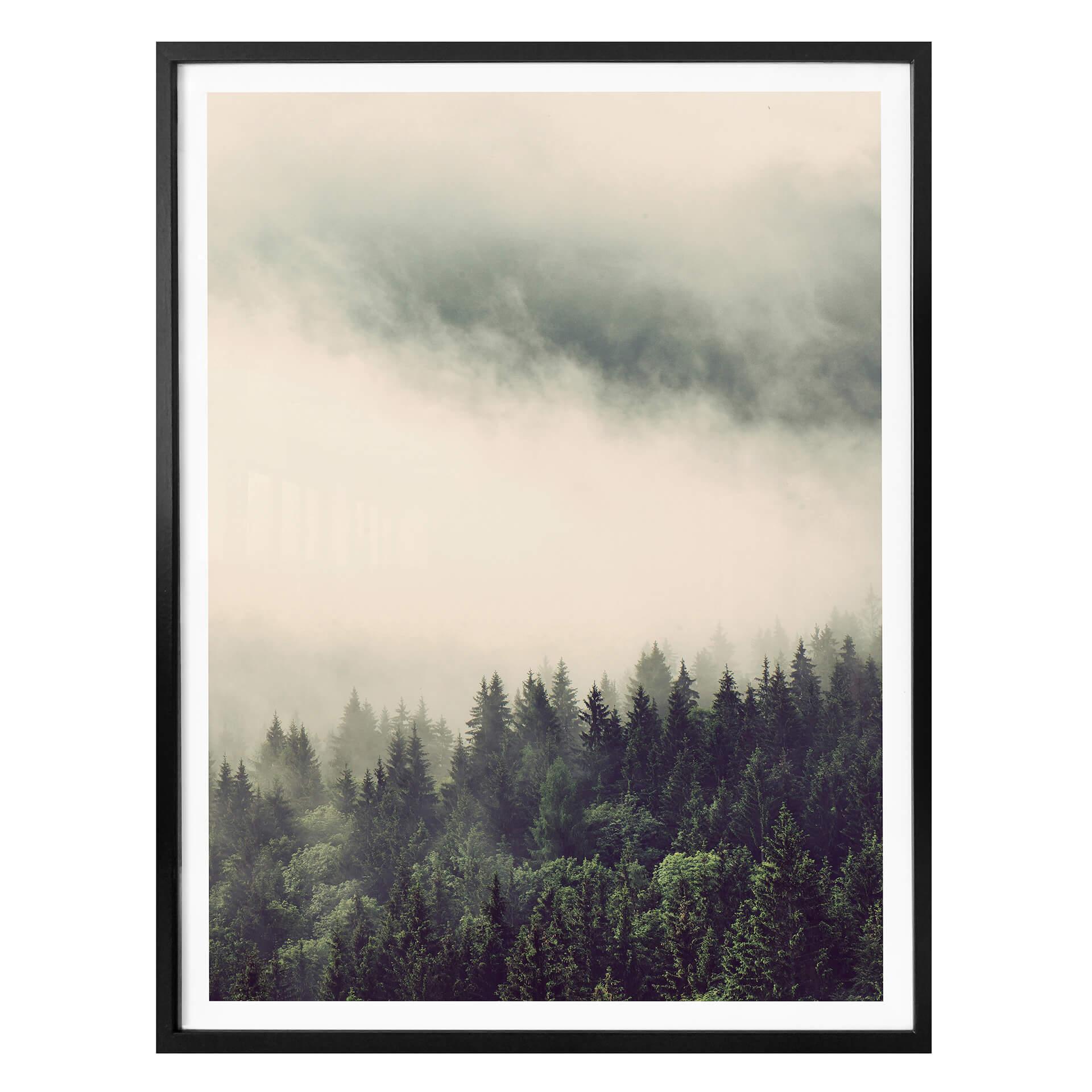 Póster Niebla en el bosque 02