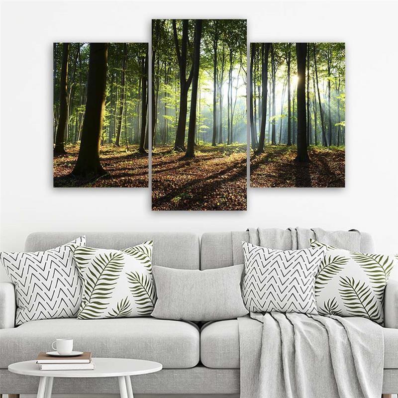 3-delige canvasprint Bos Bomen Zonnestralen