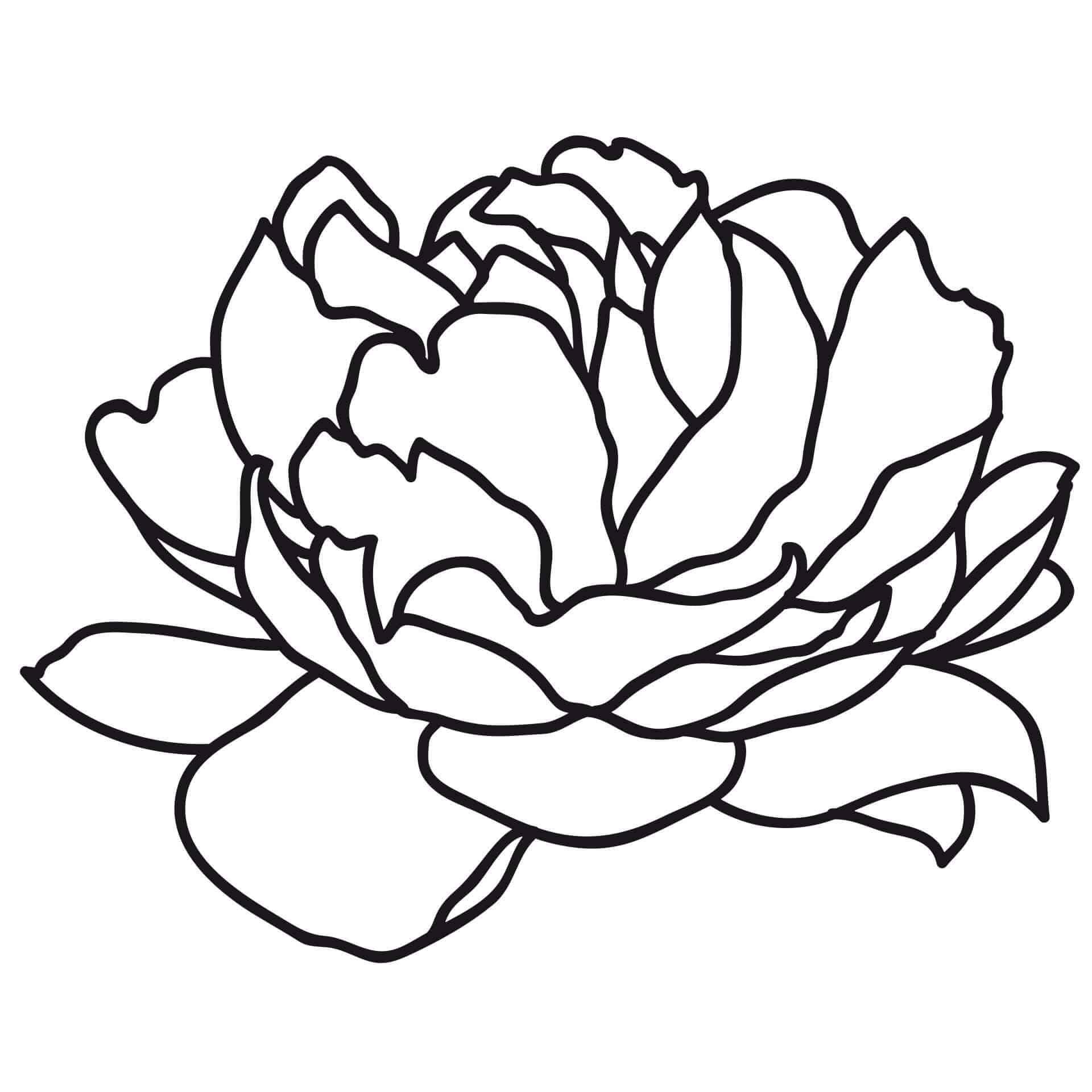 Muursticker Peony Blossom 02