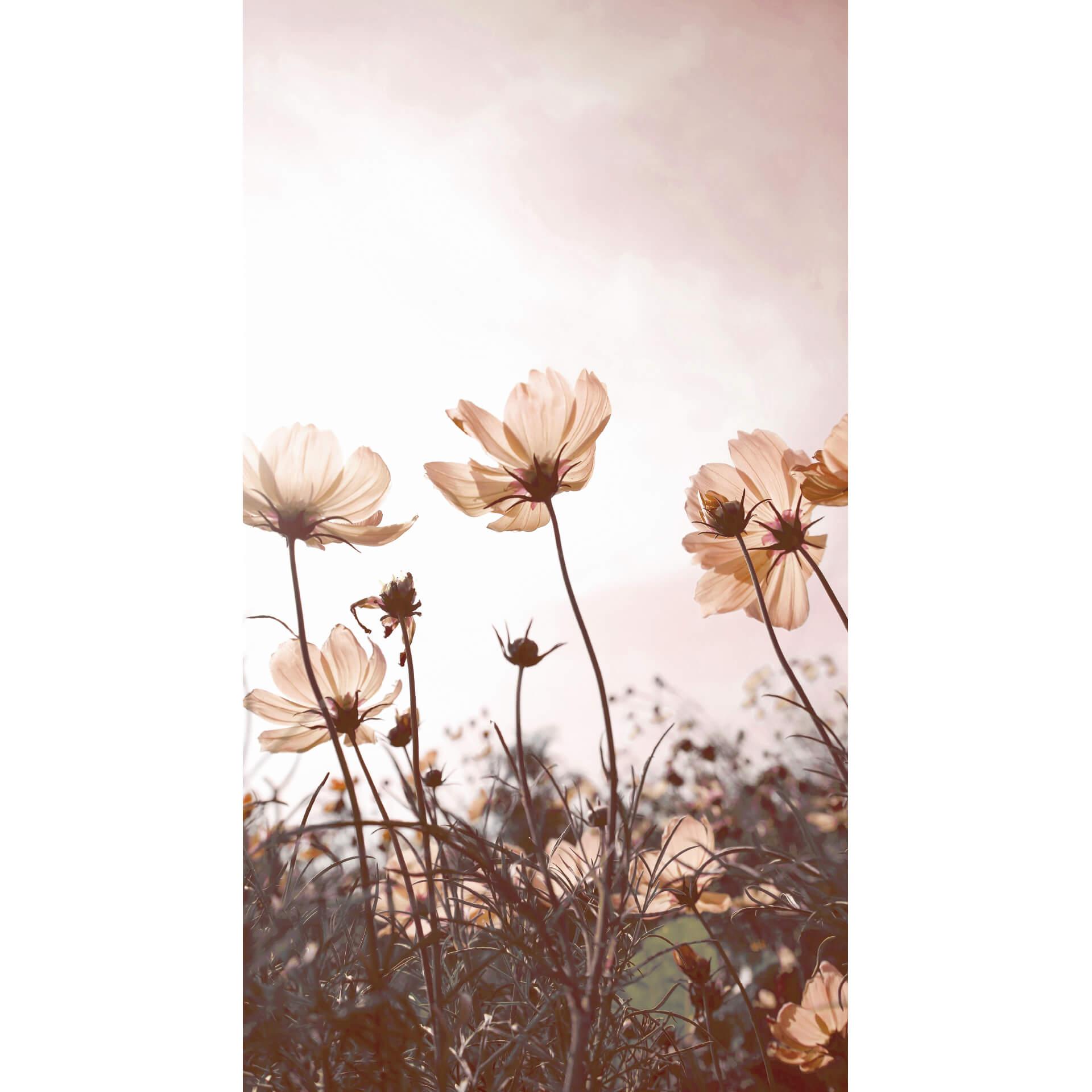 Fotobehang – Wilde Weide