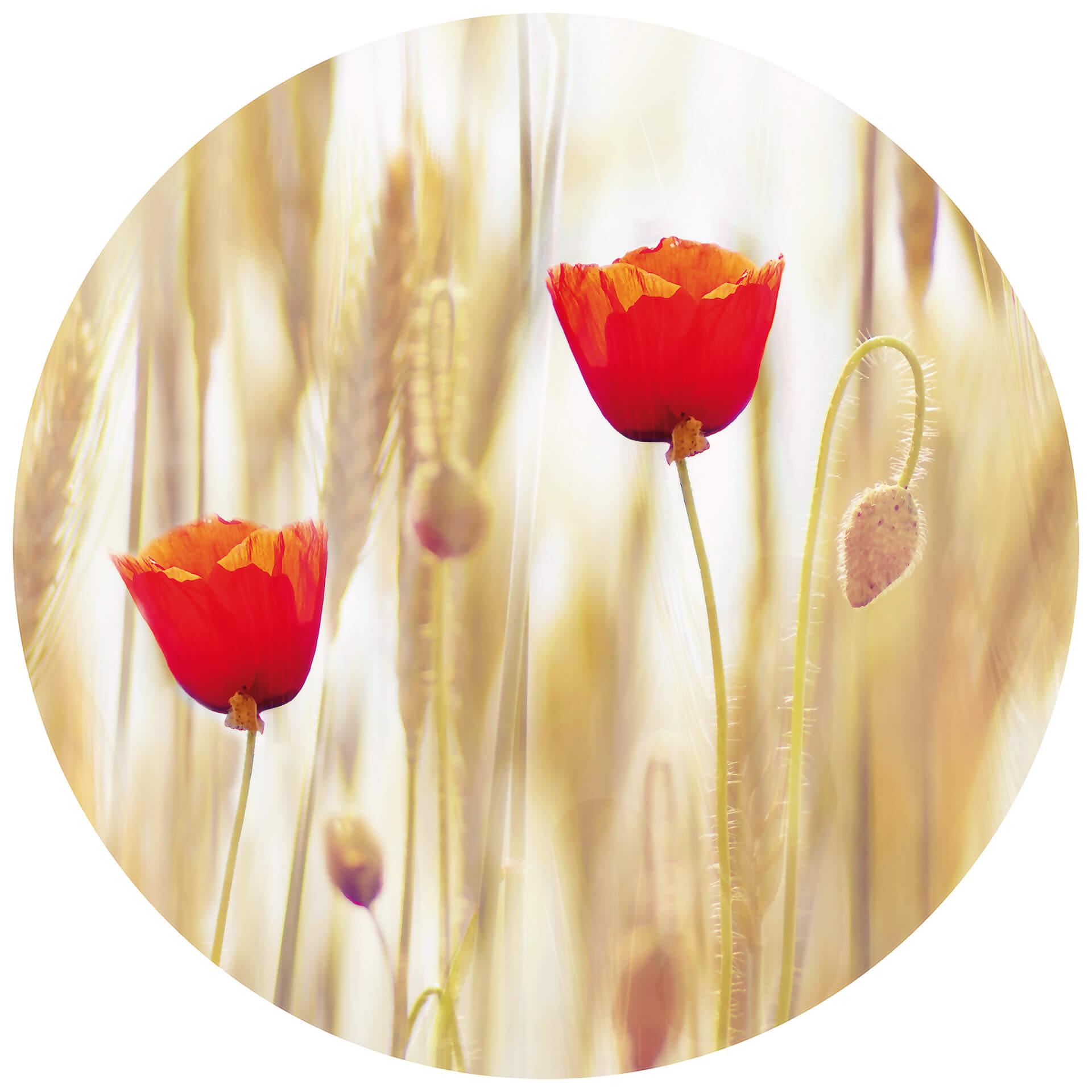 Behangcirkel Poppies - vliesbehang/zelfklevend vliesbehang