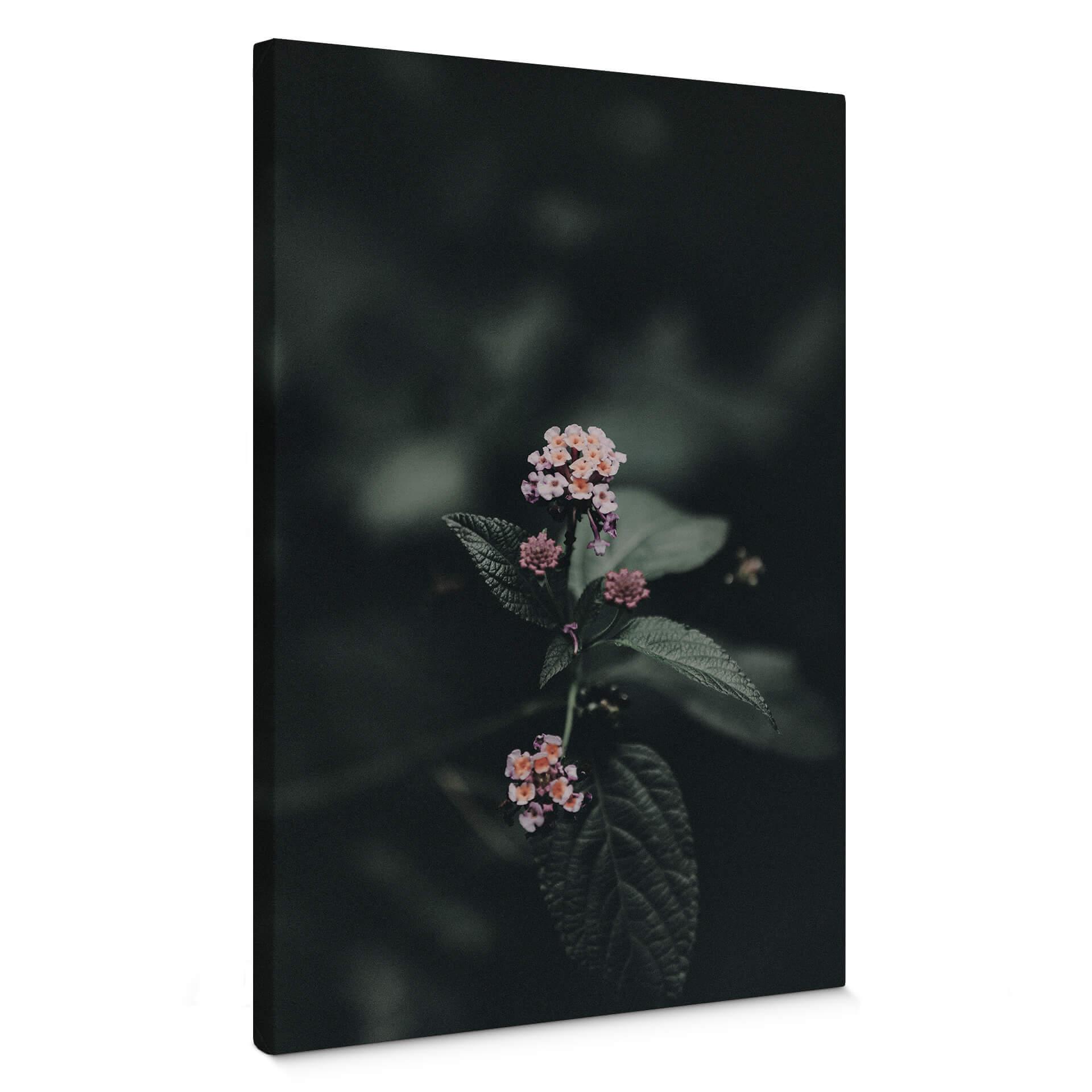 Lienzo Flor rosa delicada