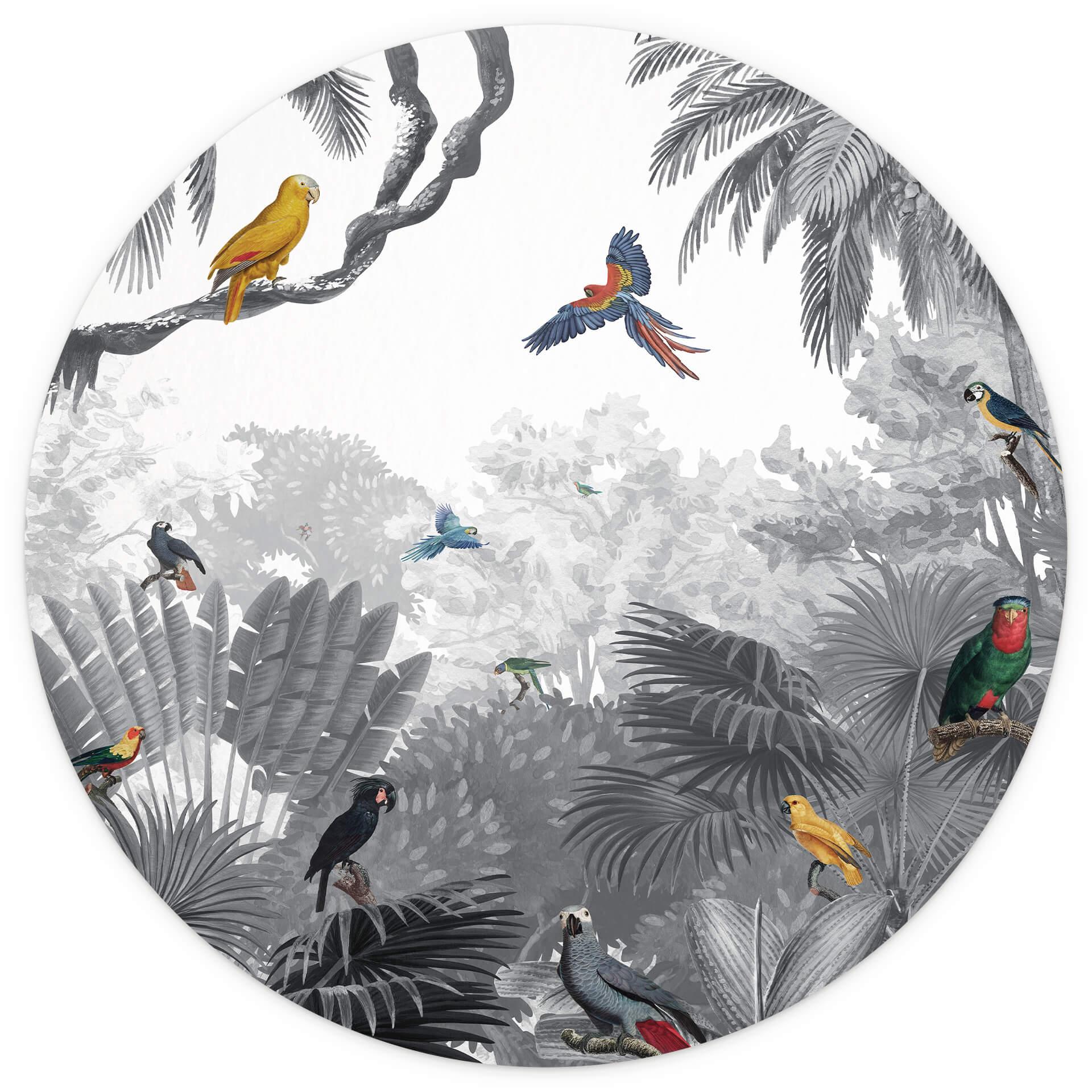 Behangcirkel Kikki Belle - Tropische Vogels in het zwart wit - vliesbehang/zelfklevend vliesbehang
