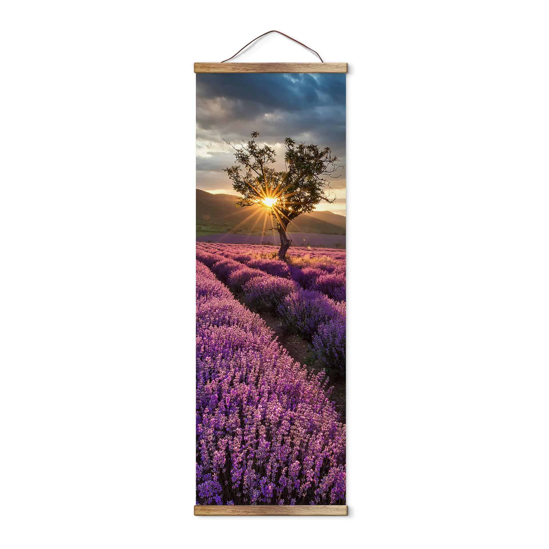 Tekstil plakat Lavendelblomst i Provence - Panorama