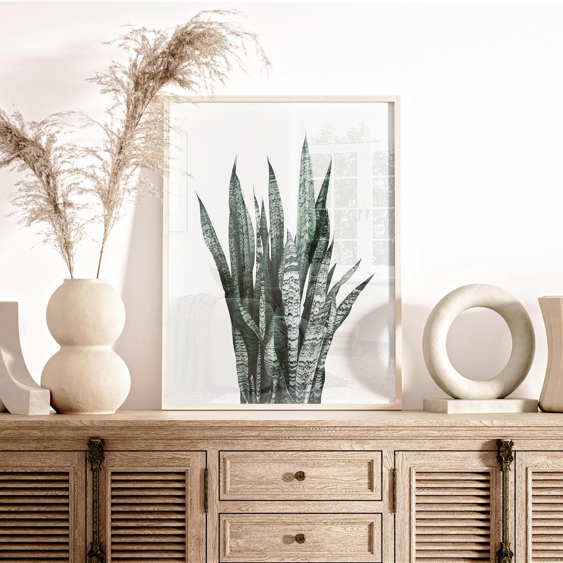Plakat Plante - Sisi & Seb